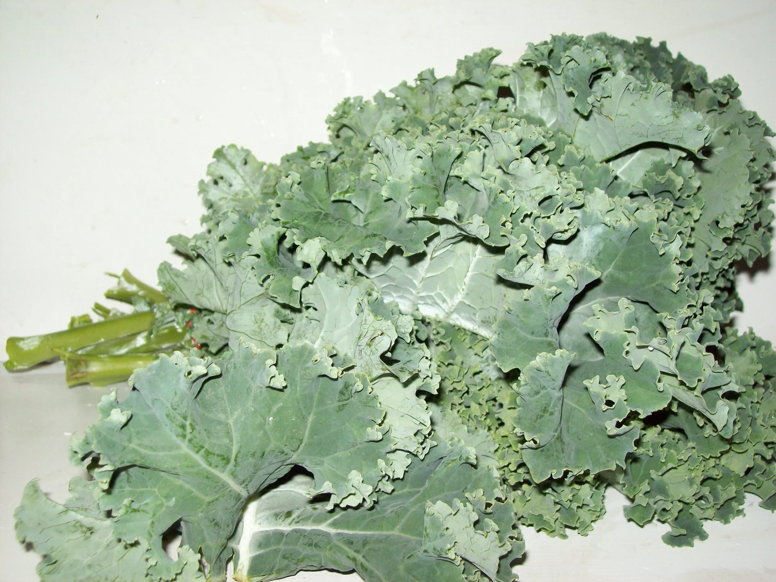 Green "curly" Kale