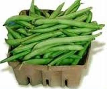 greenbeans.jpeg