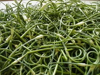 garlicscapes.jpg