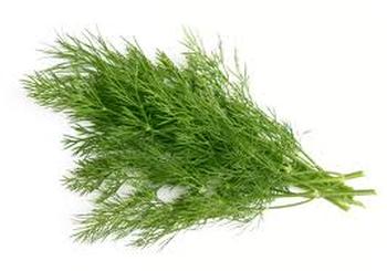 dill.jpeg