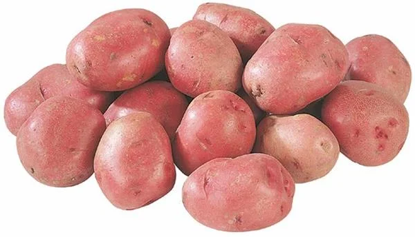 red potatoes.jpeg