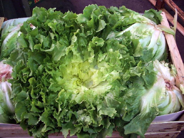escarole.jpg