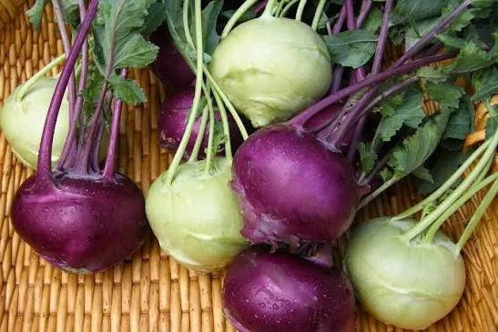 kohlrabi.jpeg