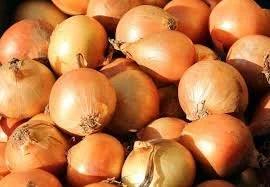 yellow onions.jpeg