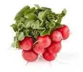 radish.jpeg
