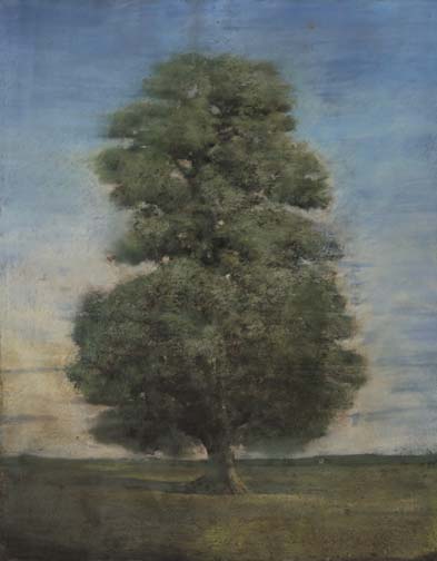 Tilleul 1, dry pastel and watercolor on paper, 62" x 48¾" 
