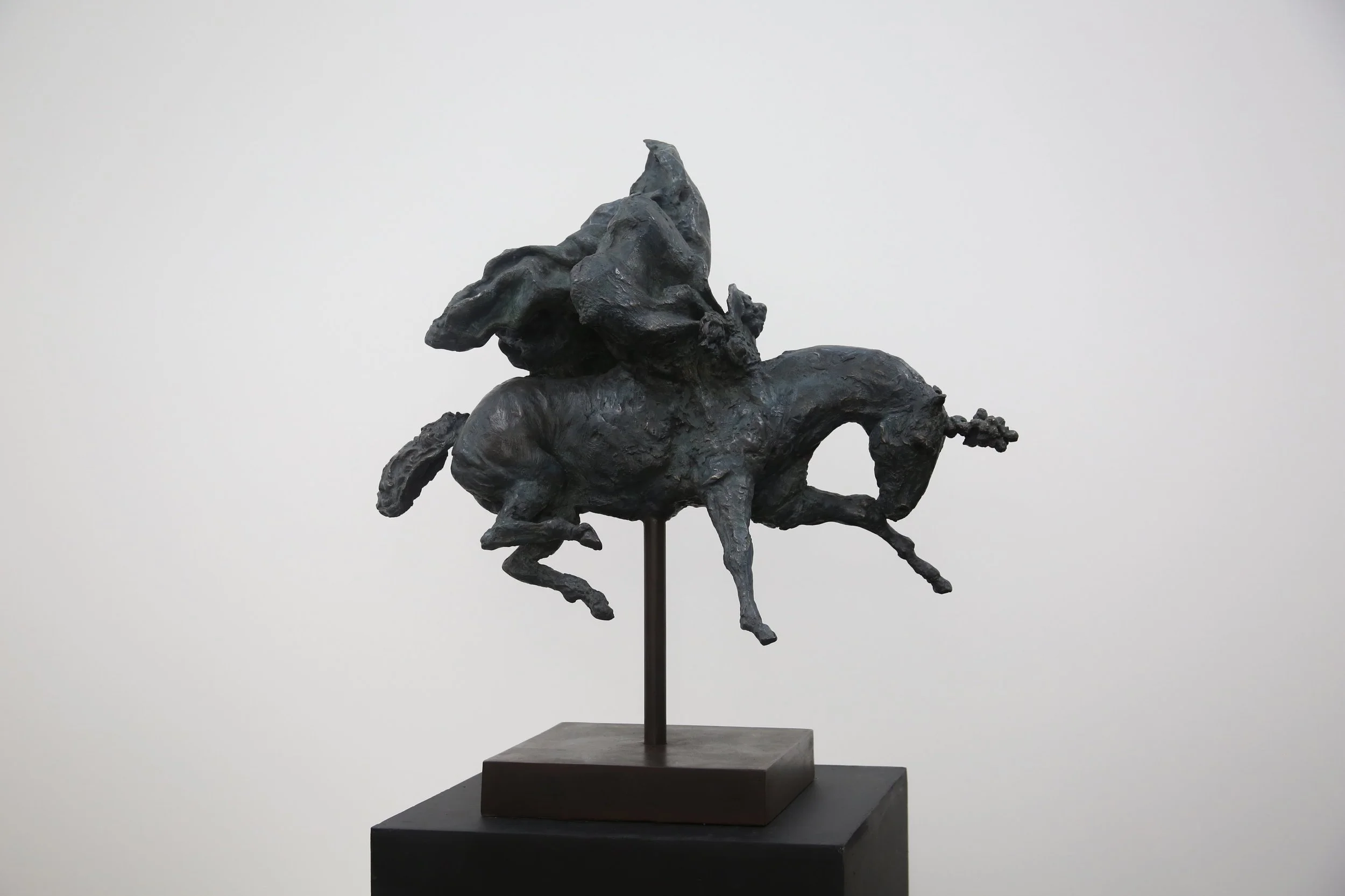 pegasus - 3.jpg