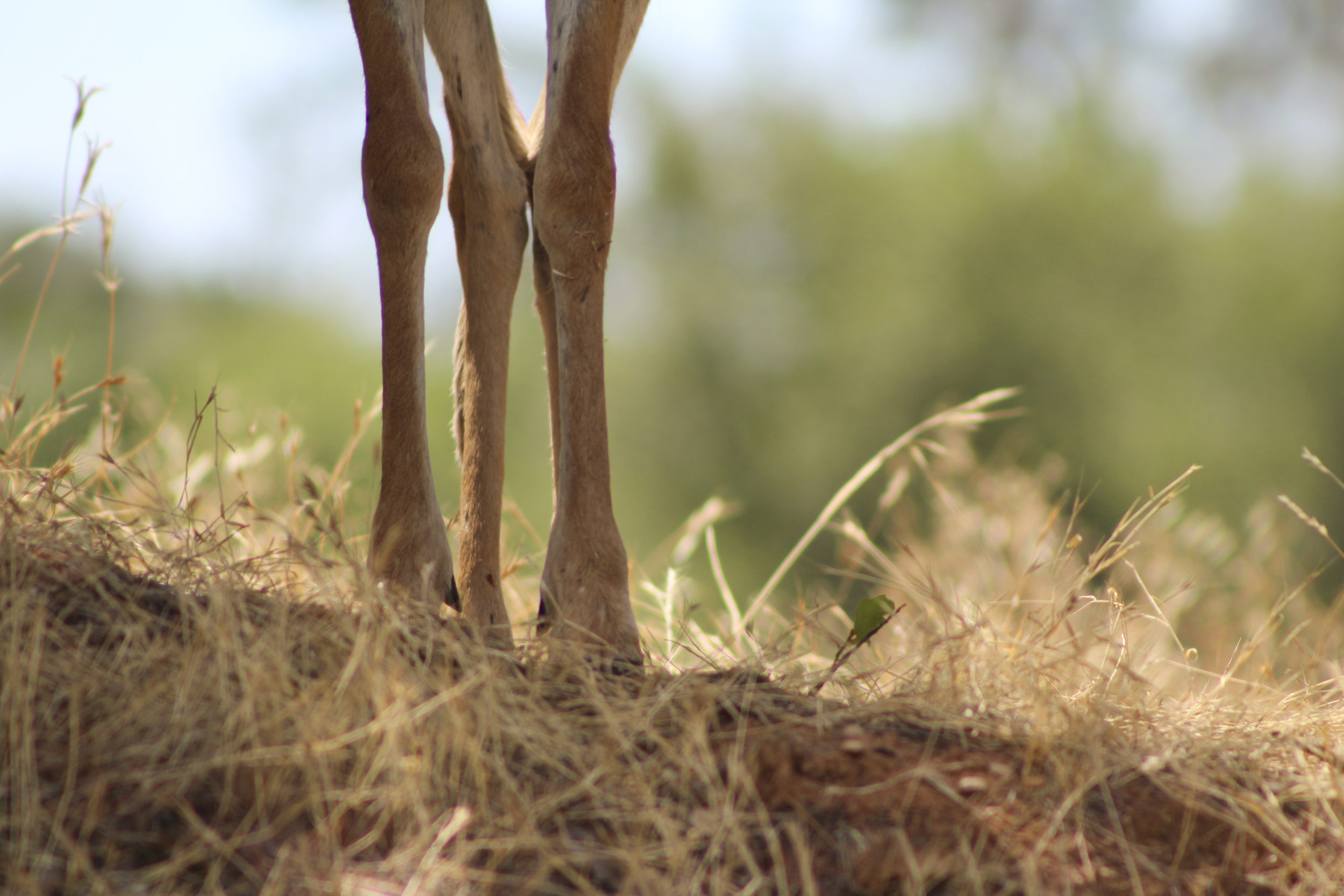 5 Uses for Makeup Bags