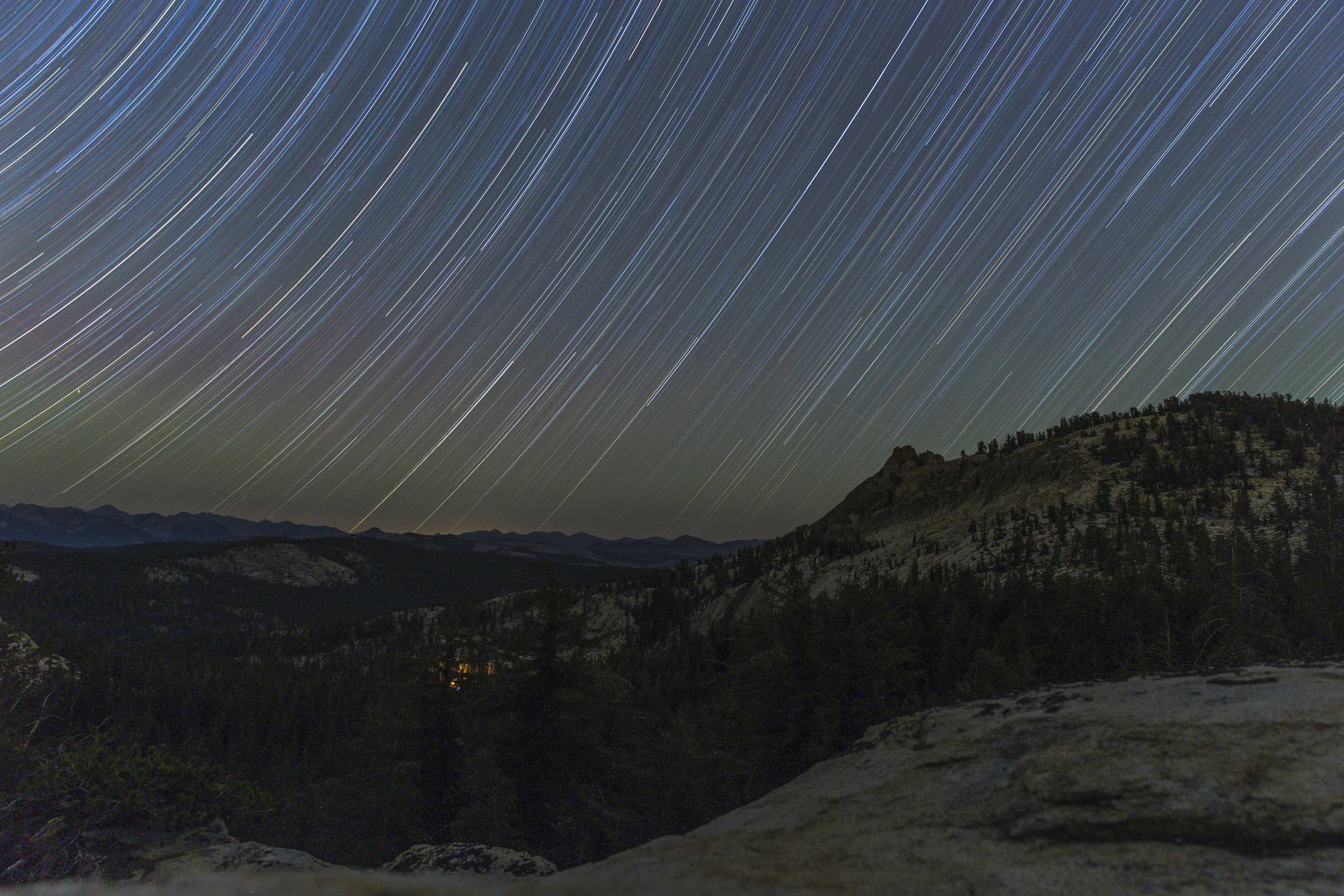 DogTooth_StarTrail.jpg