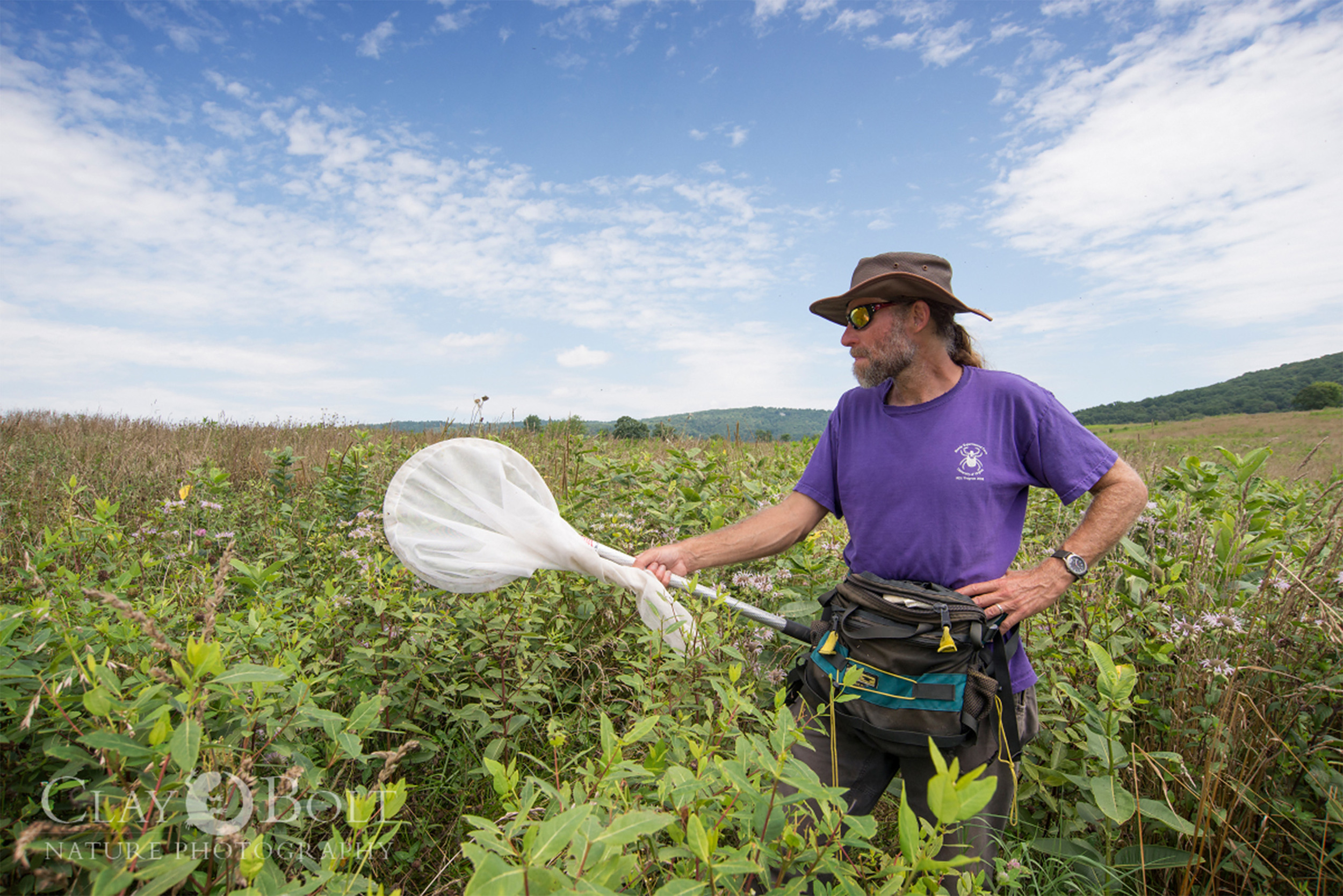  University of Virginia biologist  T'ai Roulston  discovered a lone rusty-patched bumble bee worker at Sky Meadows State Park in 2014. Attempts to find another individual in this area have, so far, been unsuccessful.&nbsp; 