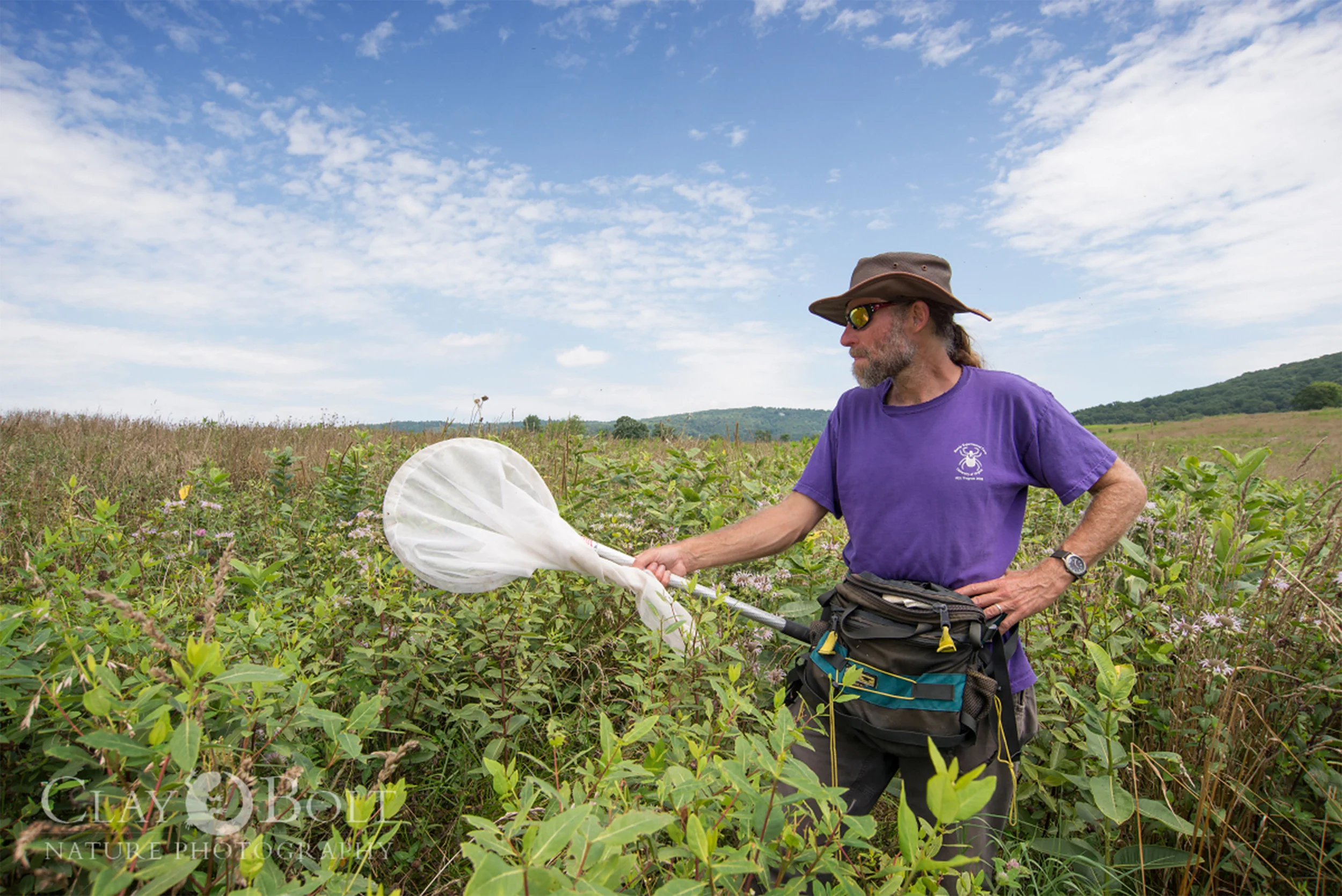 University of Virginia biologist T'ai Roulston discovered a lone rusty-patched bumble bee worker at Sky Meadows State Park in 2014. Attempts to find another individual in this area have, so far, been unsuccessful. 