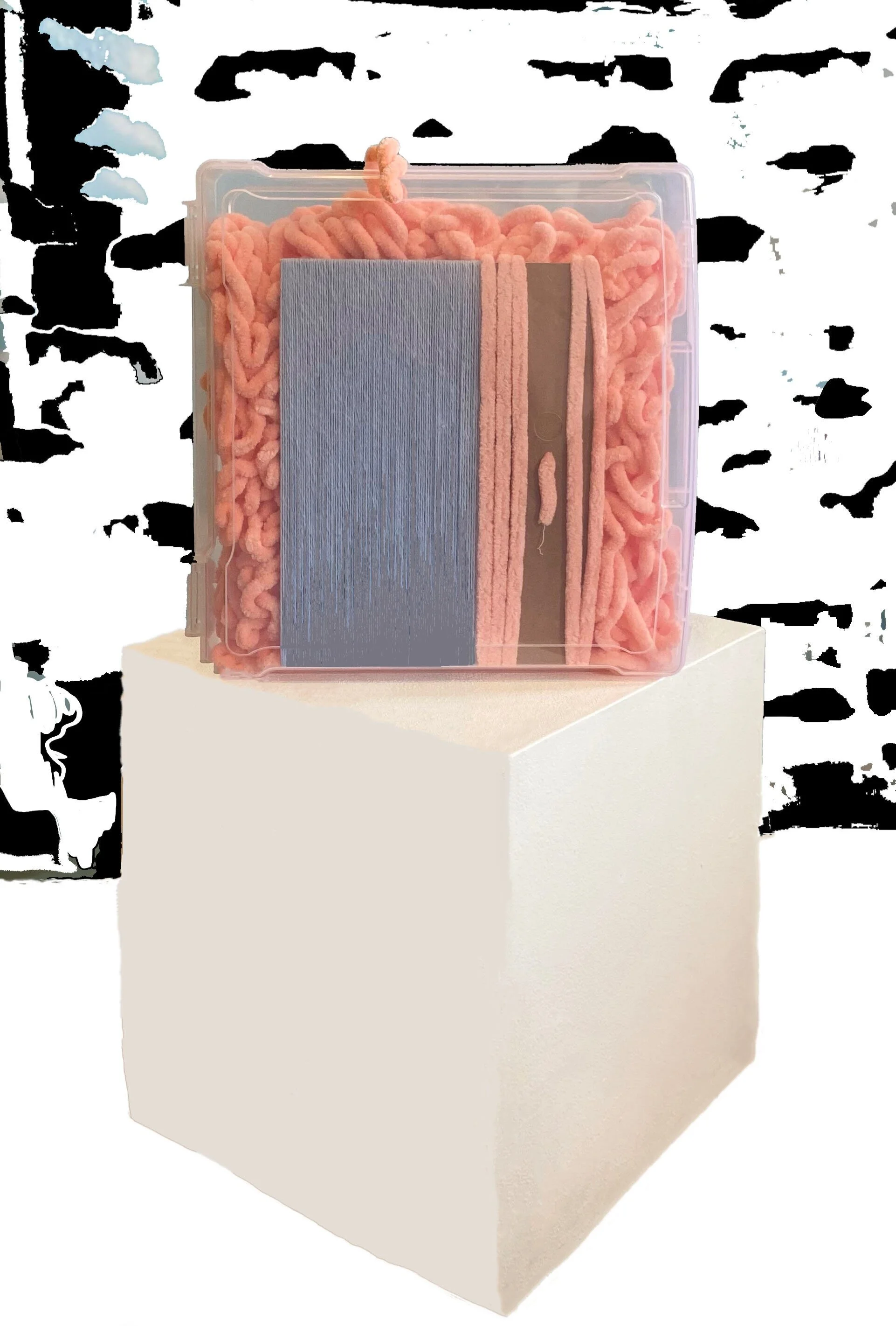 A318004D-B4D0-4D87-AE62-CC83F0F398D9.jpg