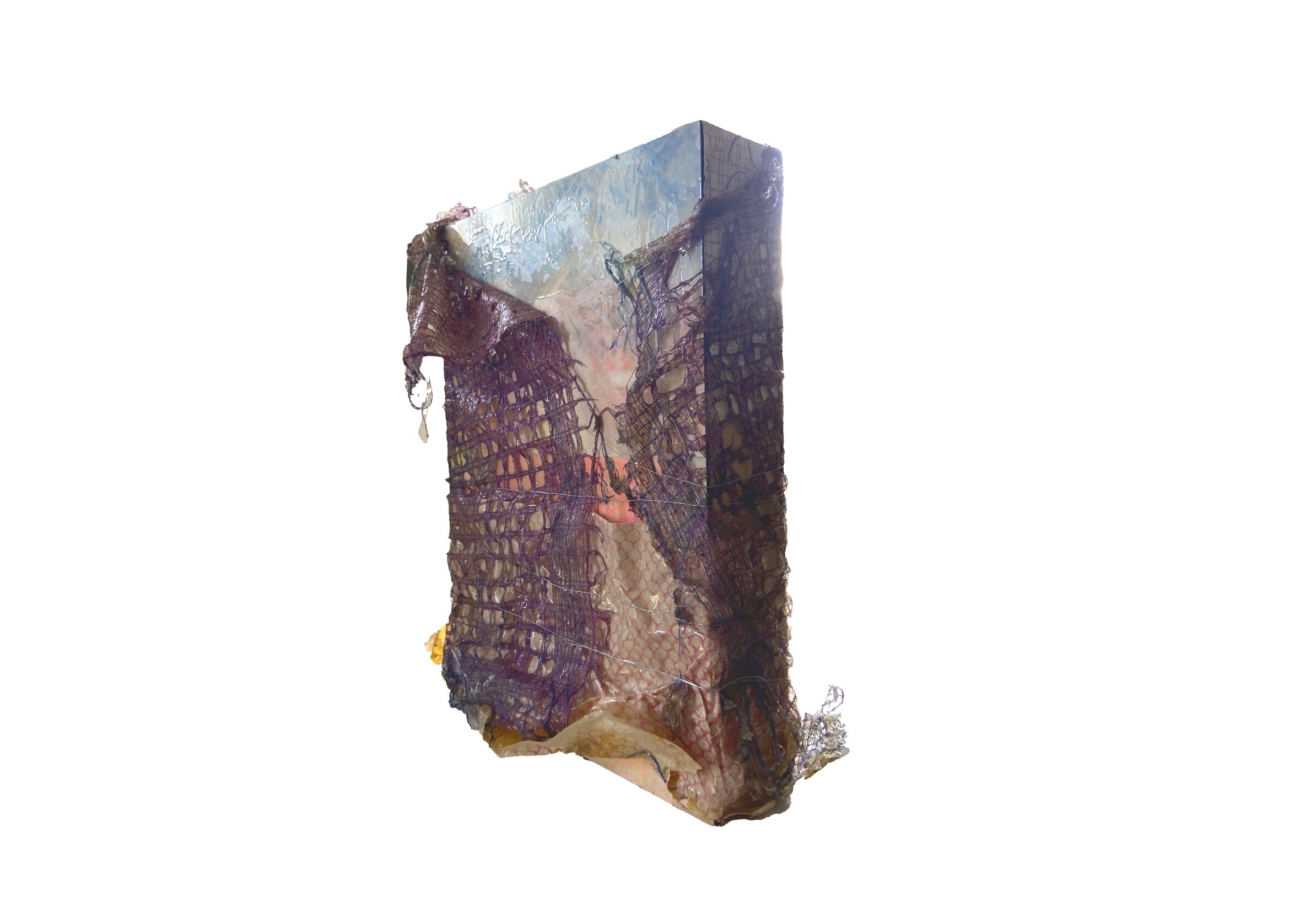 Scalp check interweave.jpg