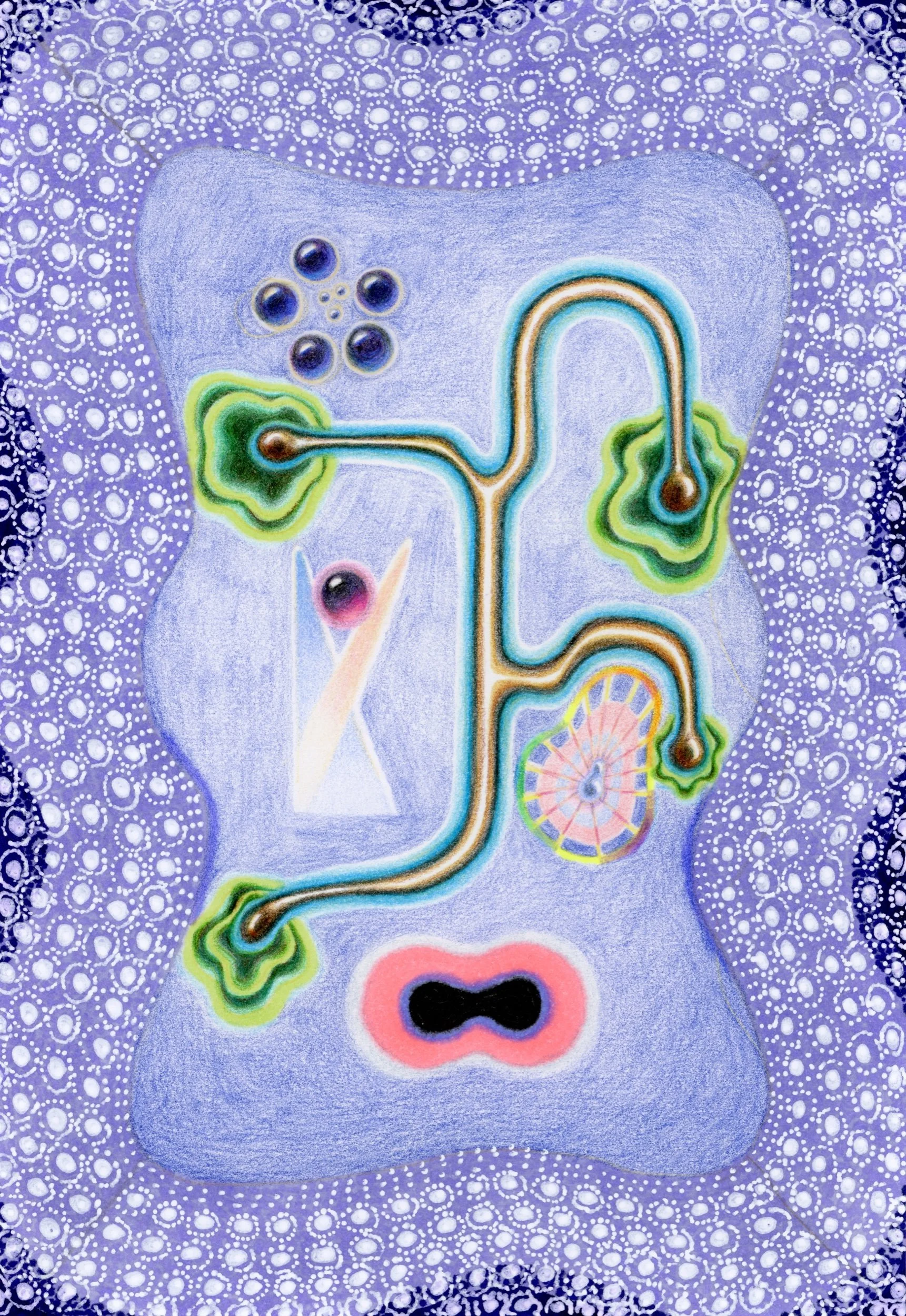 BRAIN 7