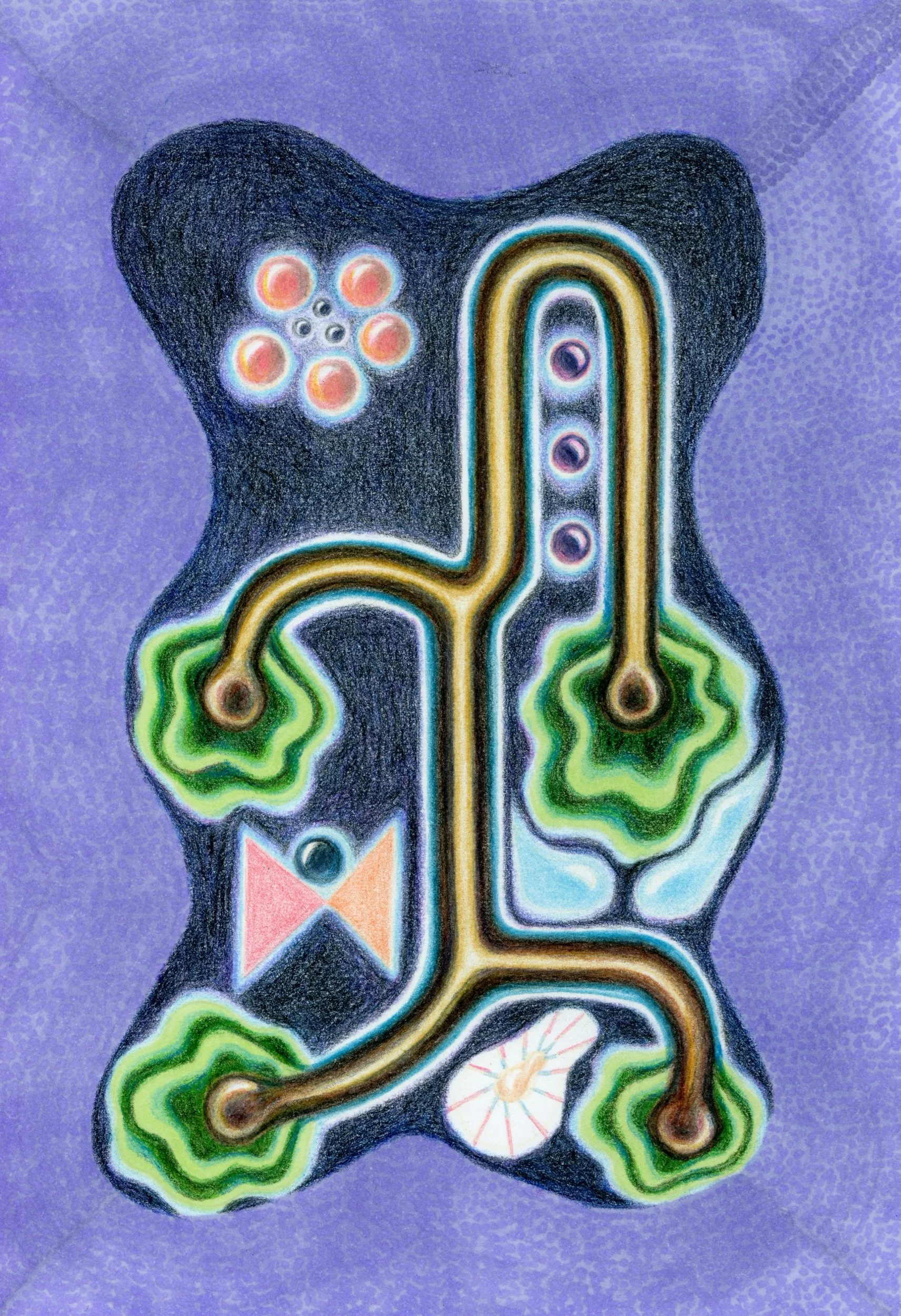 BRAIN 8