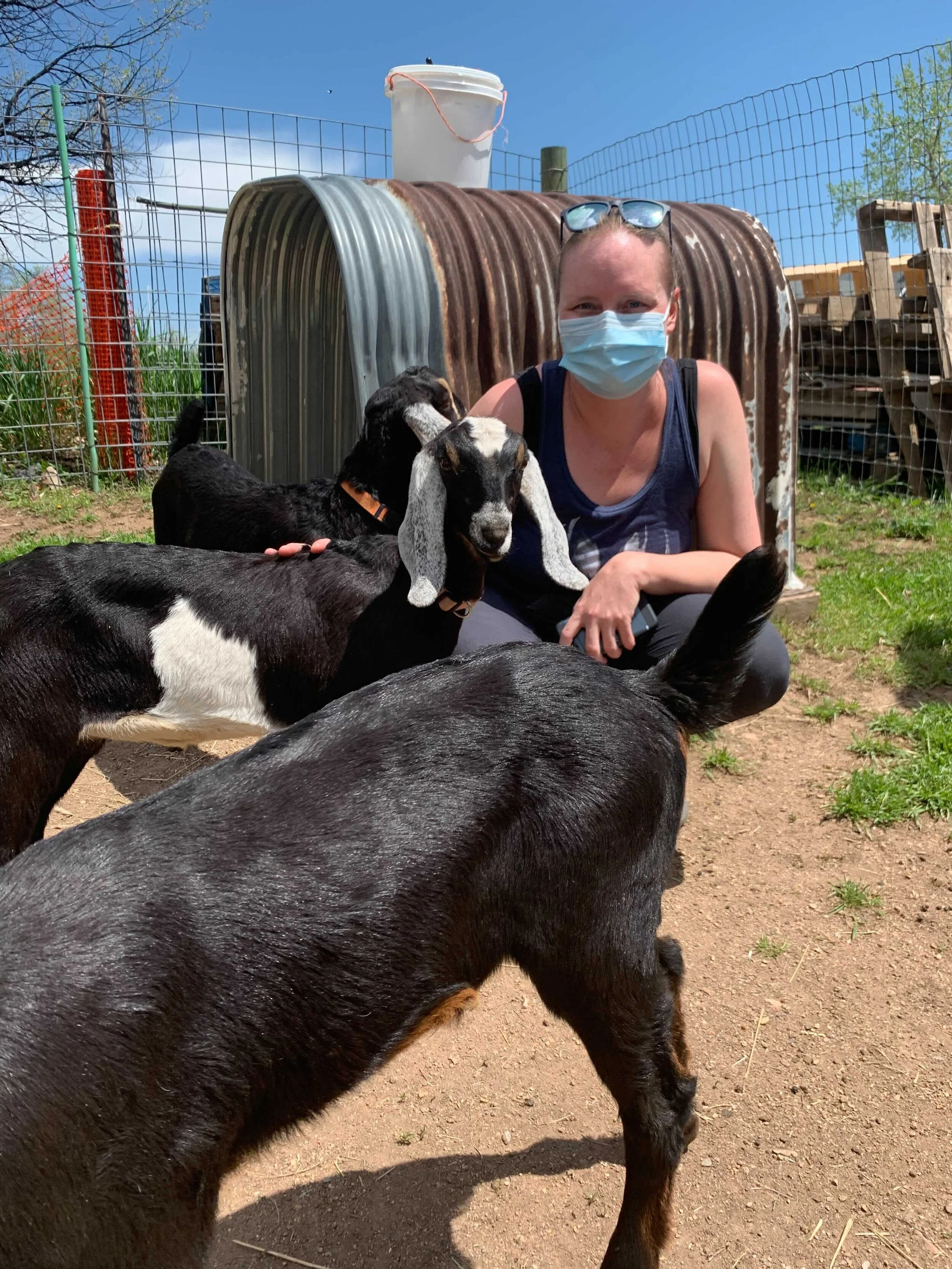 News — Donaldson Lab