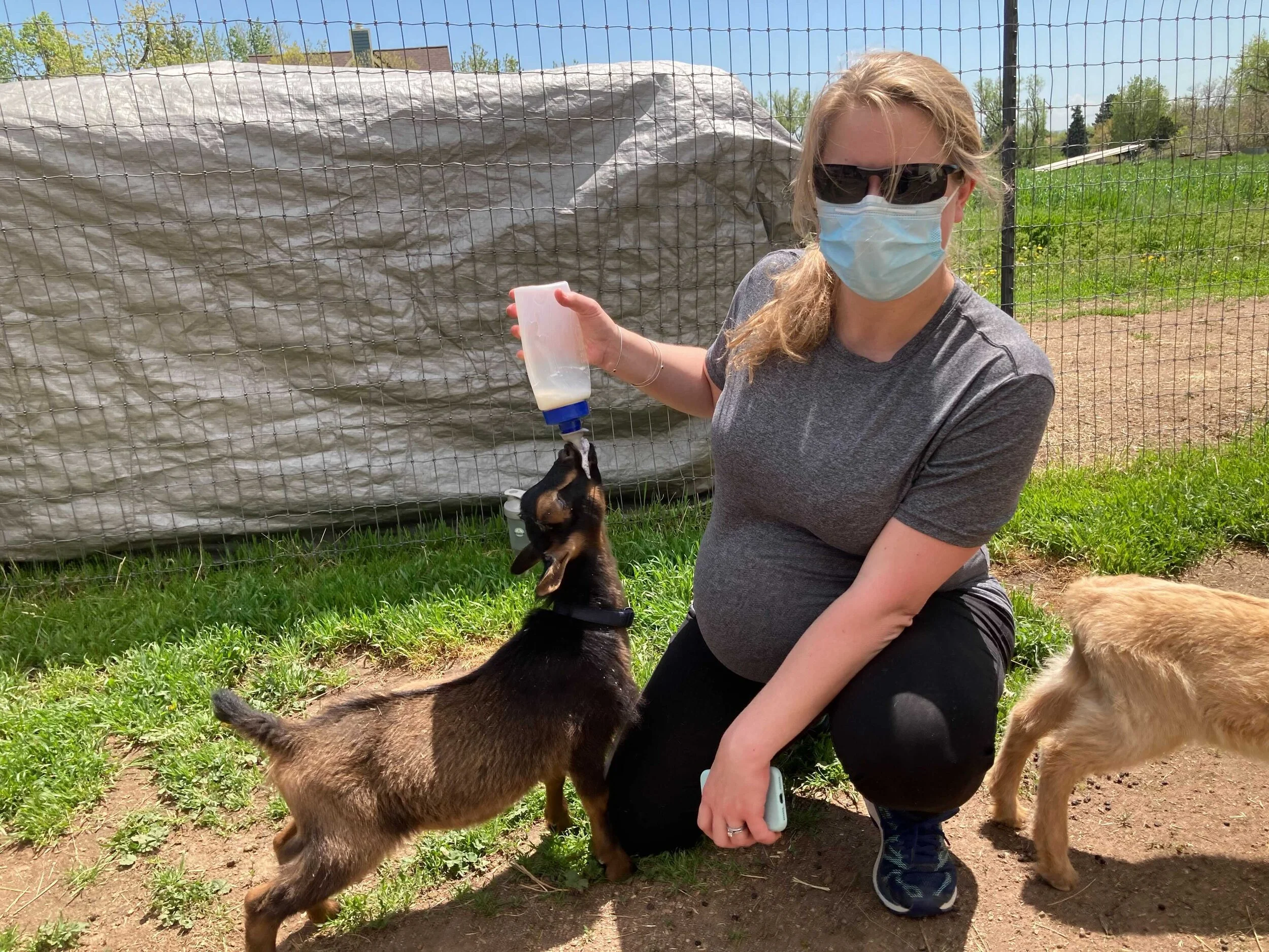 News — Donaldson Lab