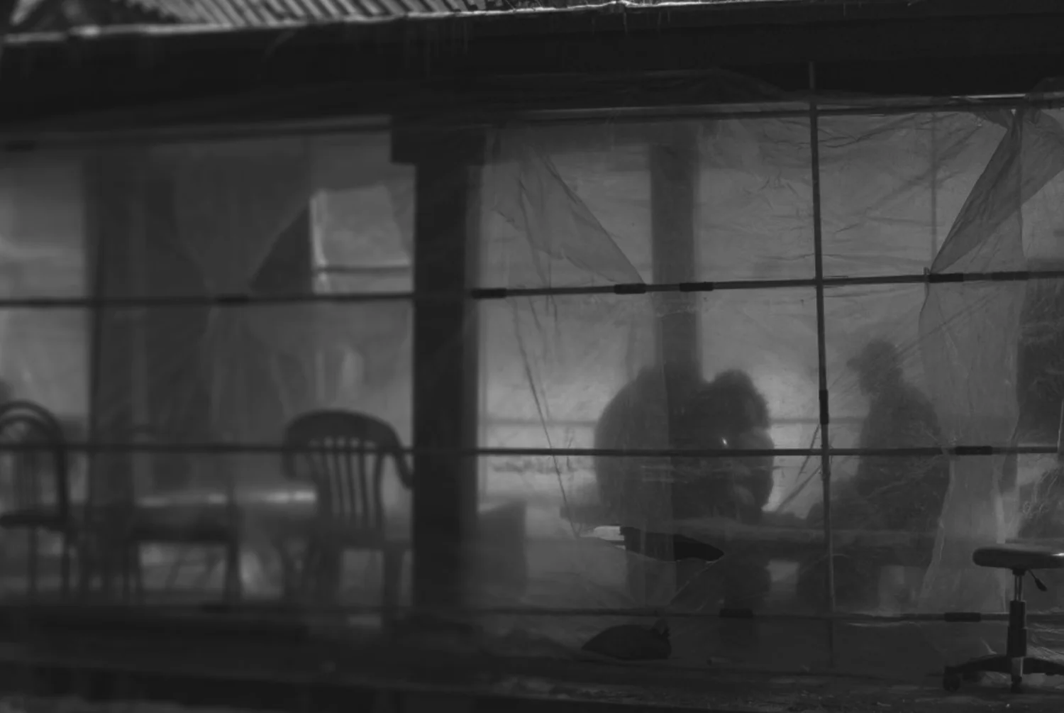 Park,SJ_Final-Project_Mist_4.jpg