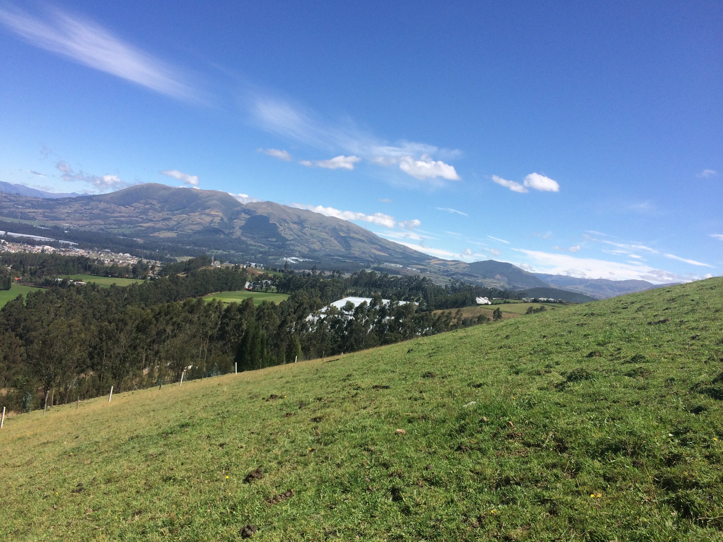 Cayambe Hostelier Landscape Cows Volancano_2660.JPG