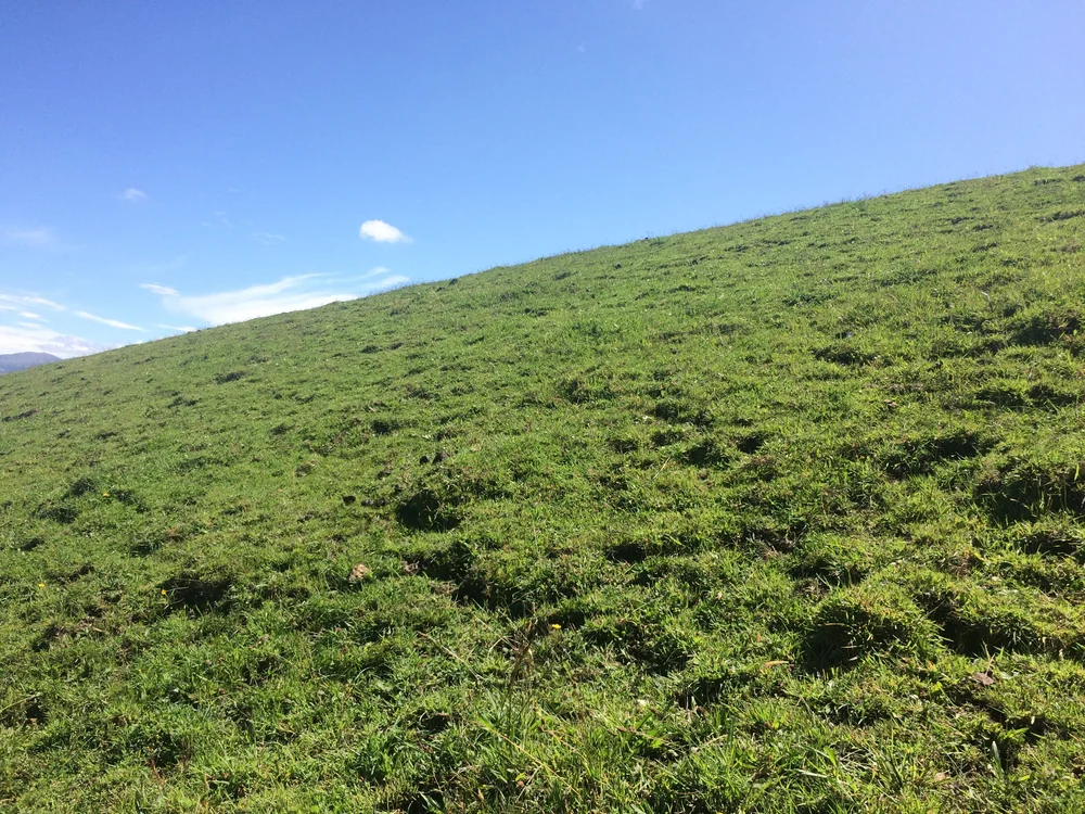 Cayambe Hostelier Landscape Cows Volancano_2662.JPG