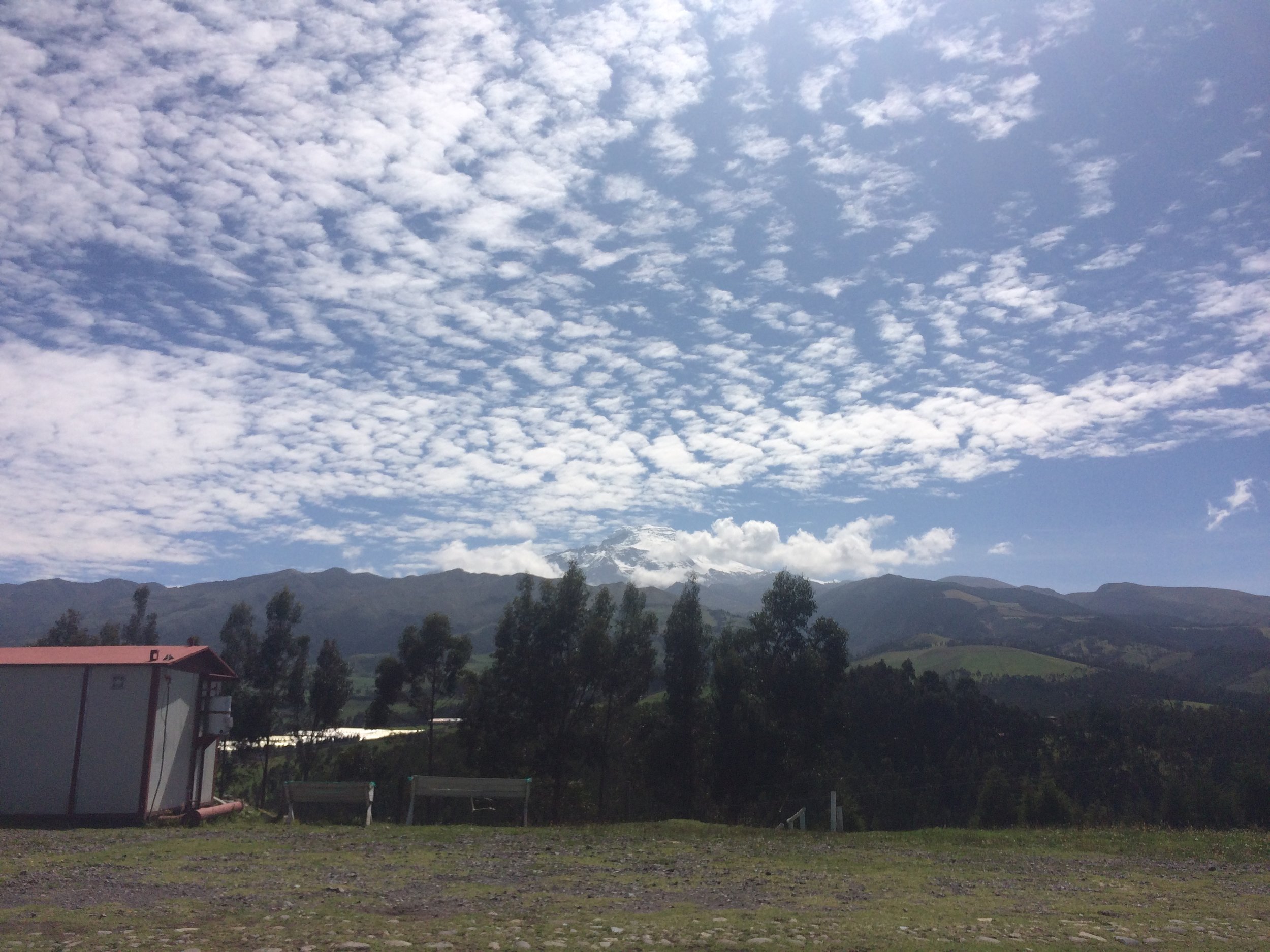 Cayambe Hostelier Landscape Cows Volancano_2658.JPG