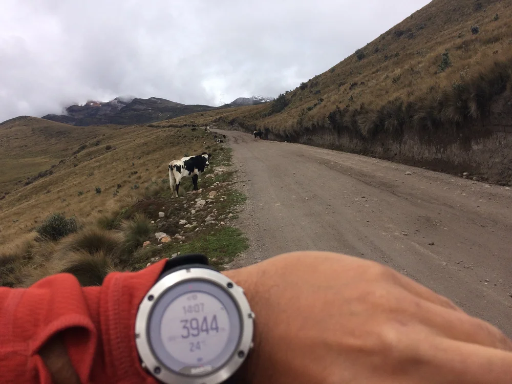 Cayambe Refugio Oct 18 2016_2724.JPG