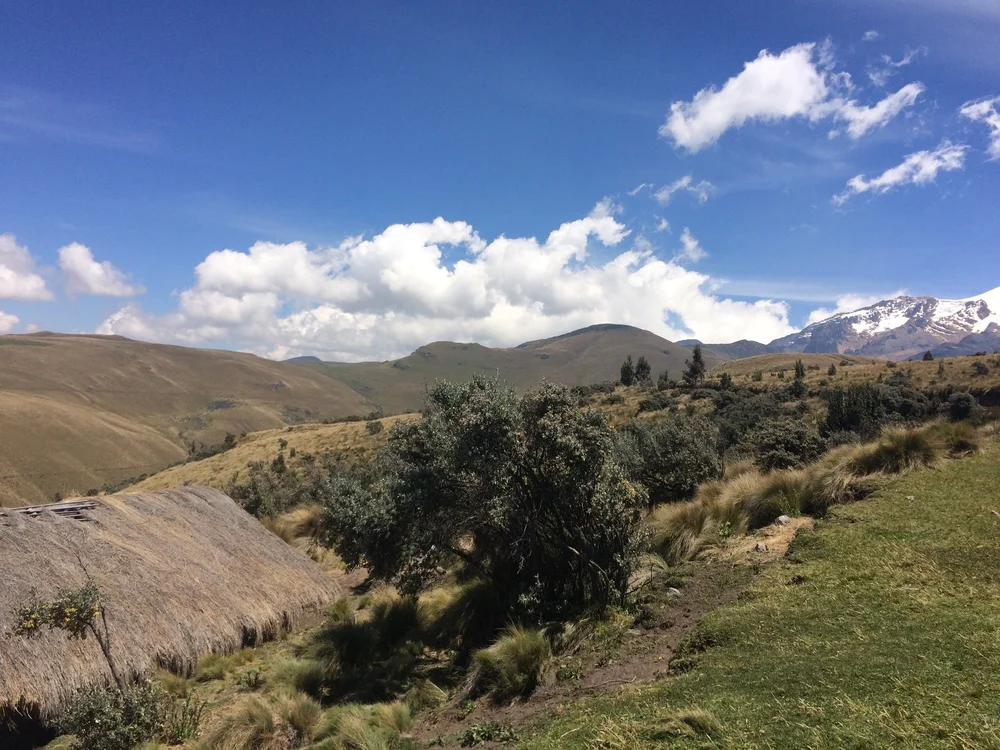 Cayambe Refugio Oct 27 2016_2850.JPG