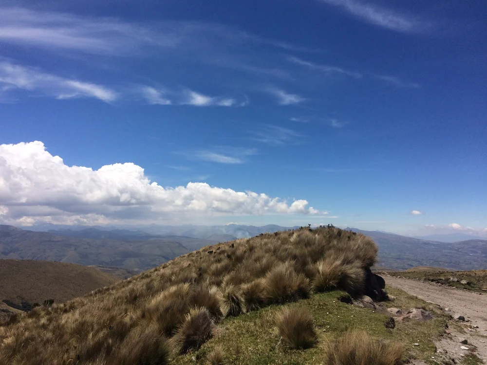 View of road just travelled...