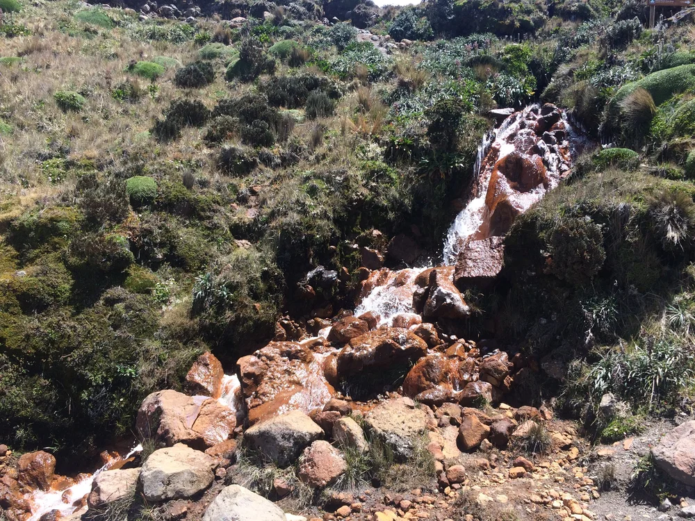 Cayambe Refugio Oct 27 2016_2925.JPG