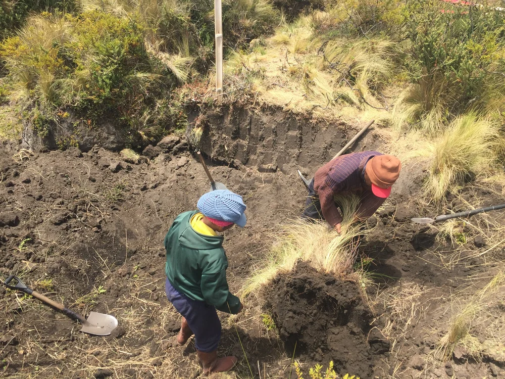 Don Mariano y Sra. Marina 