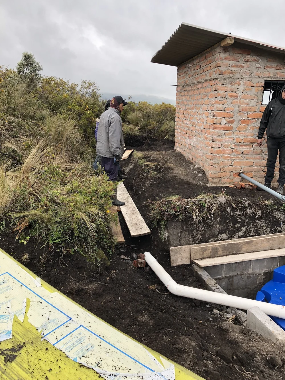 Sequia Origin_3954.JPEG