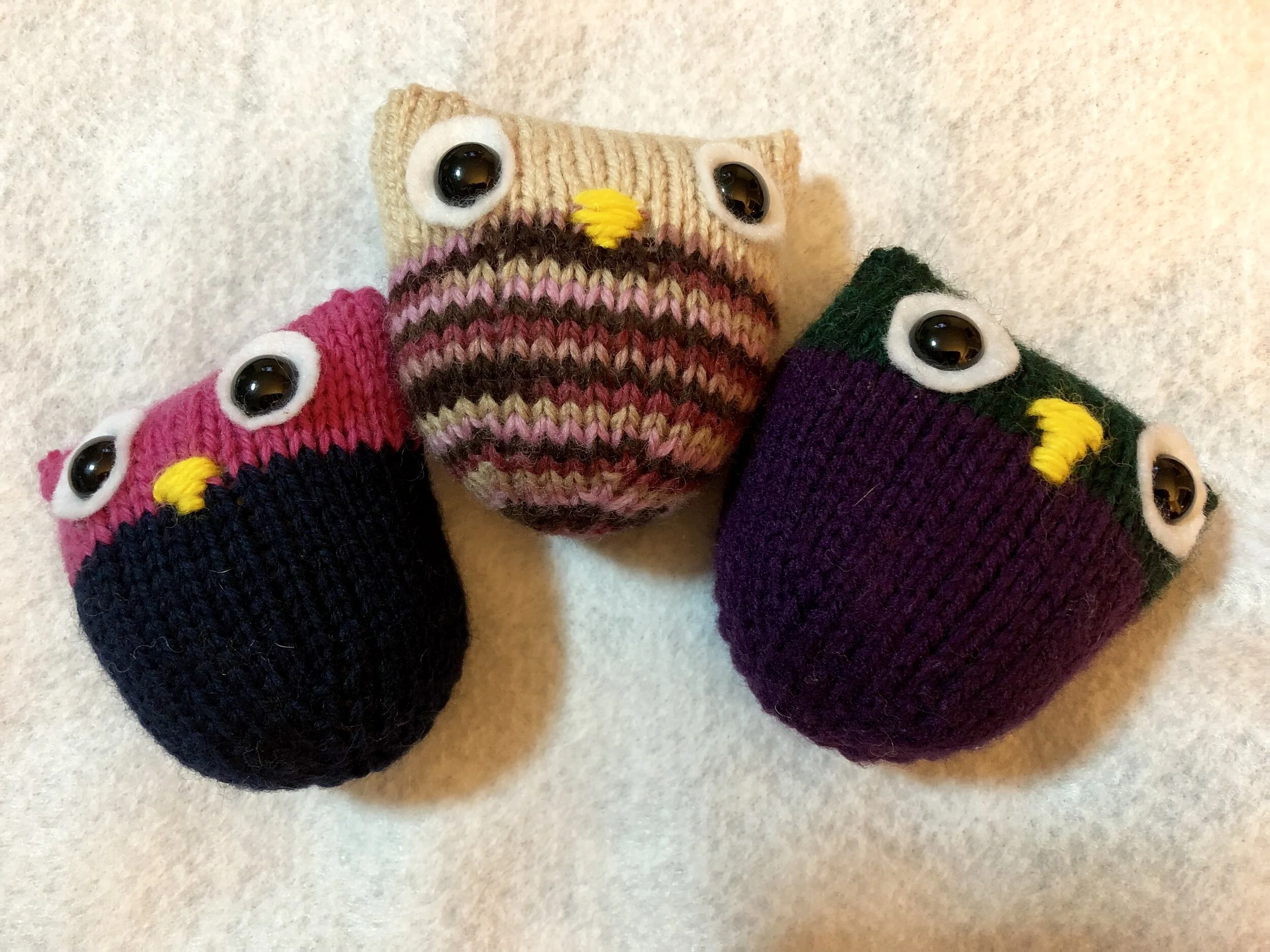 Check out these cuties!