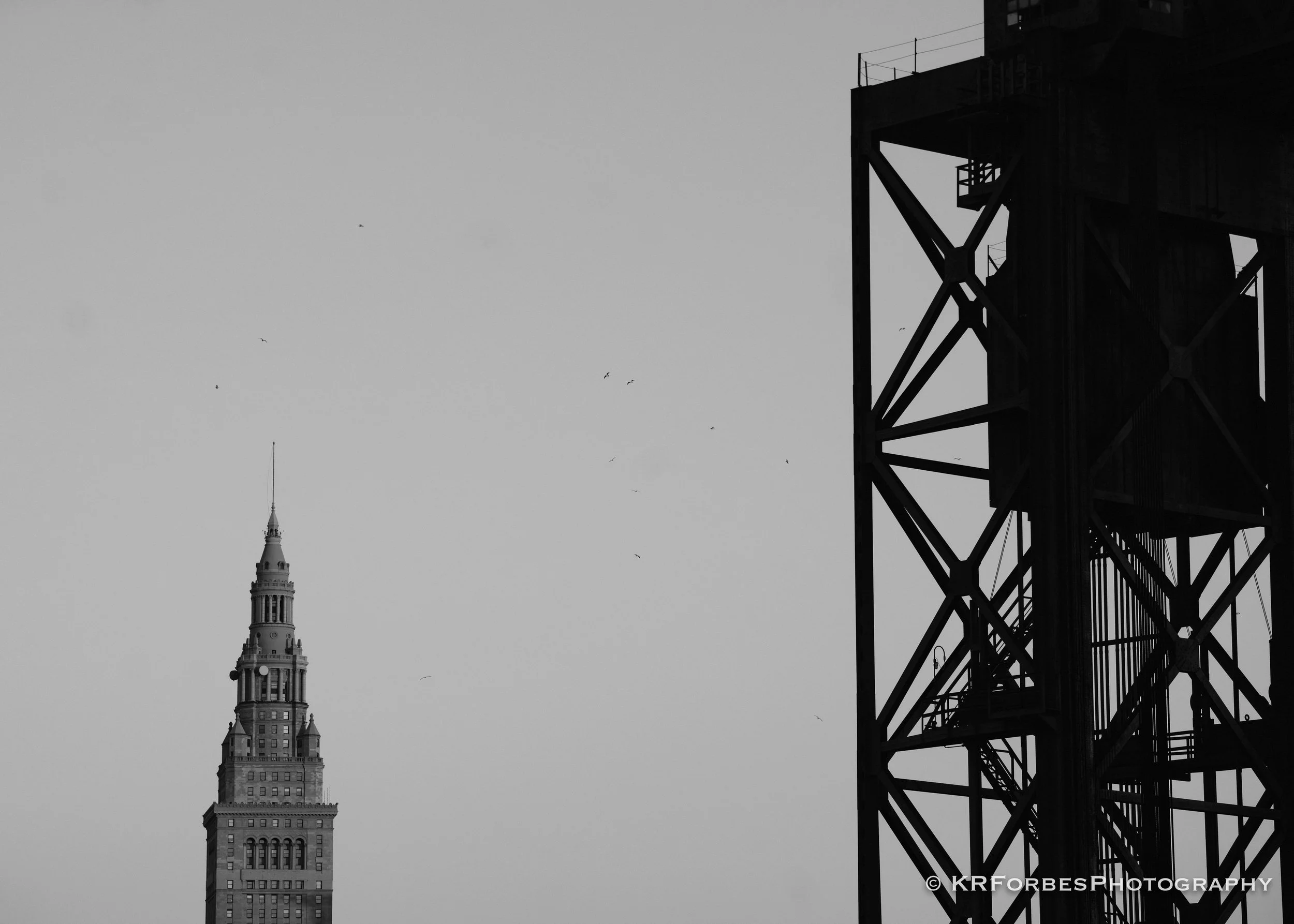 DSC_0157-2.jpg