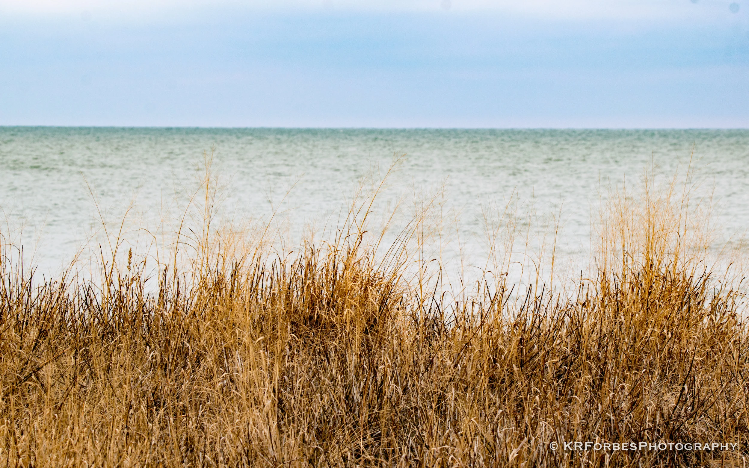 DSC_0701.jpg
