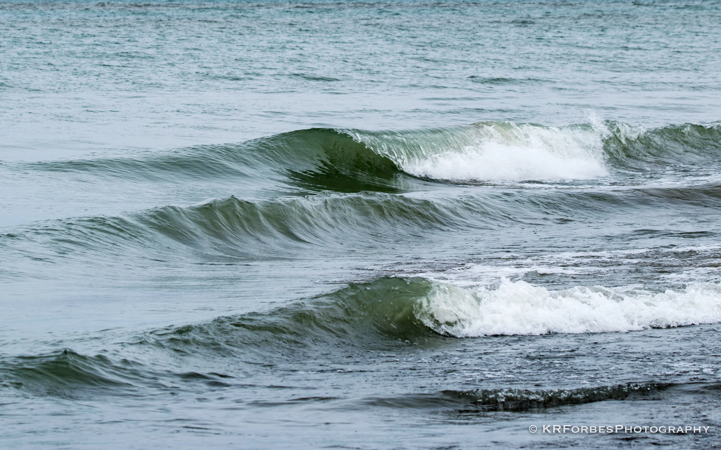 DSC_0732.jpg