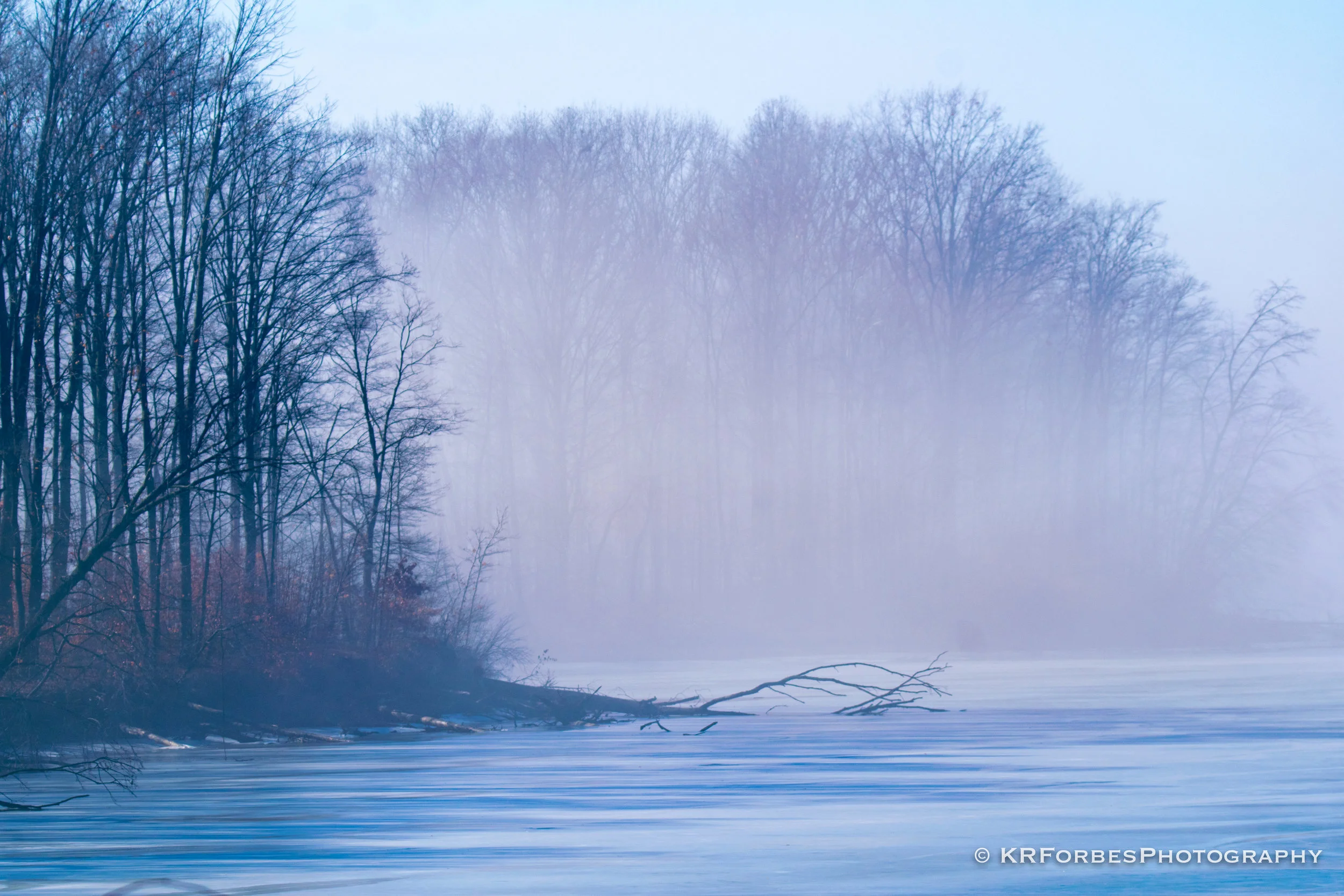 DSC_0131.jpg