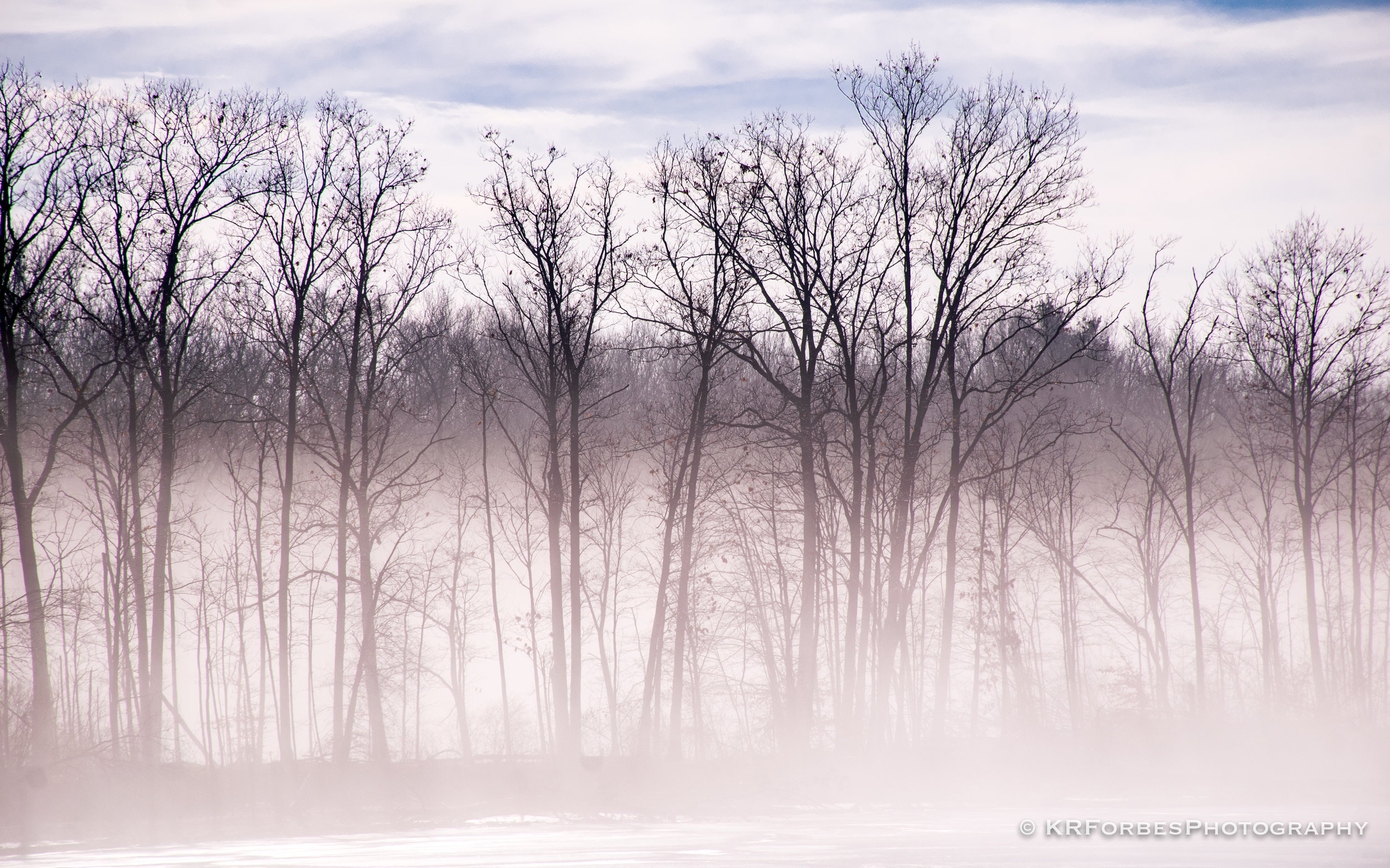 DSC_0138-2.jpg