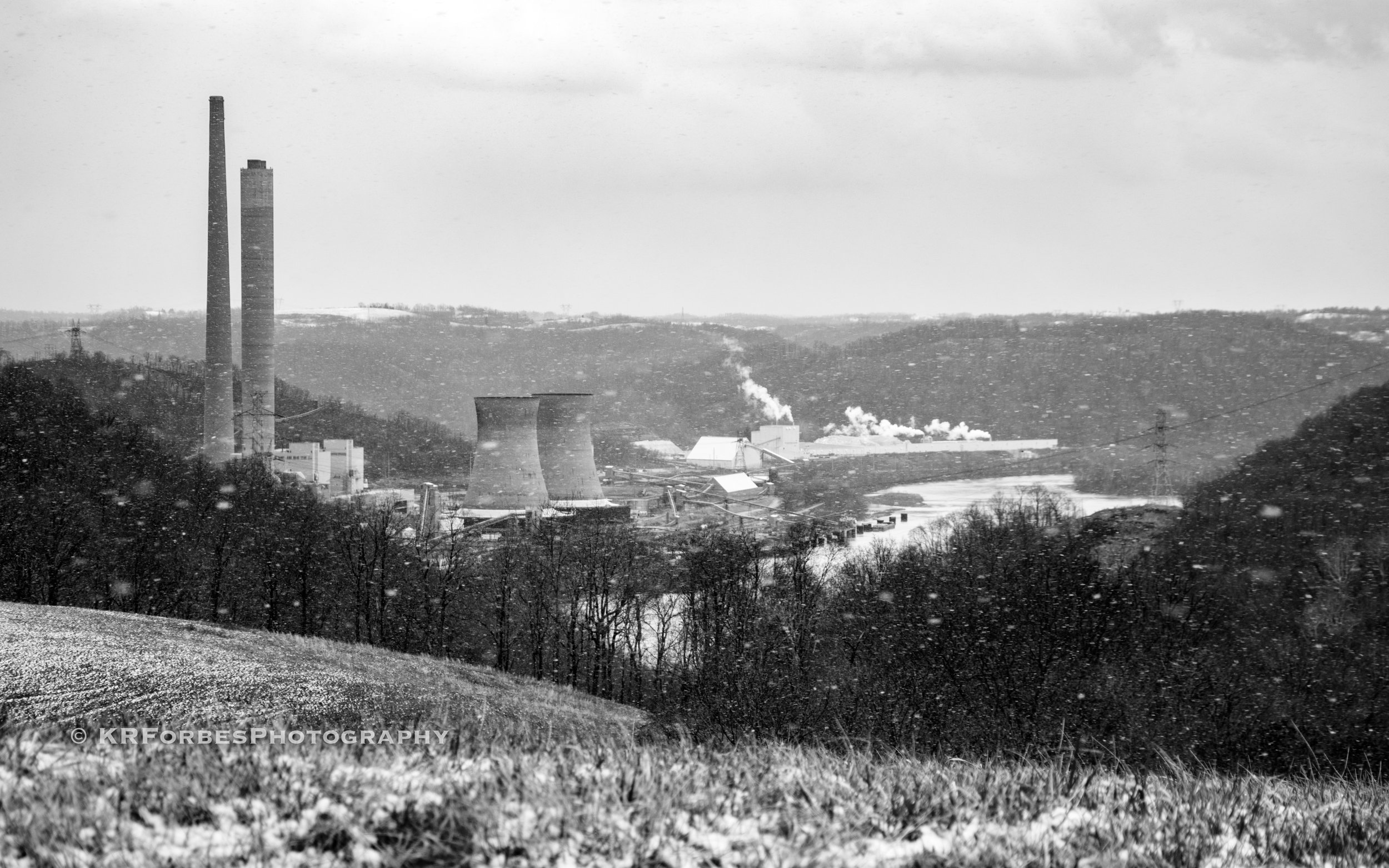 DSC_0679.jpg
