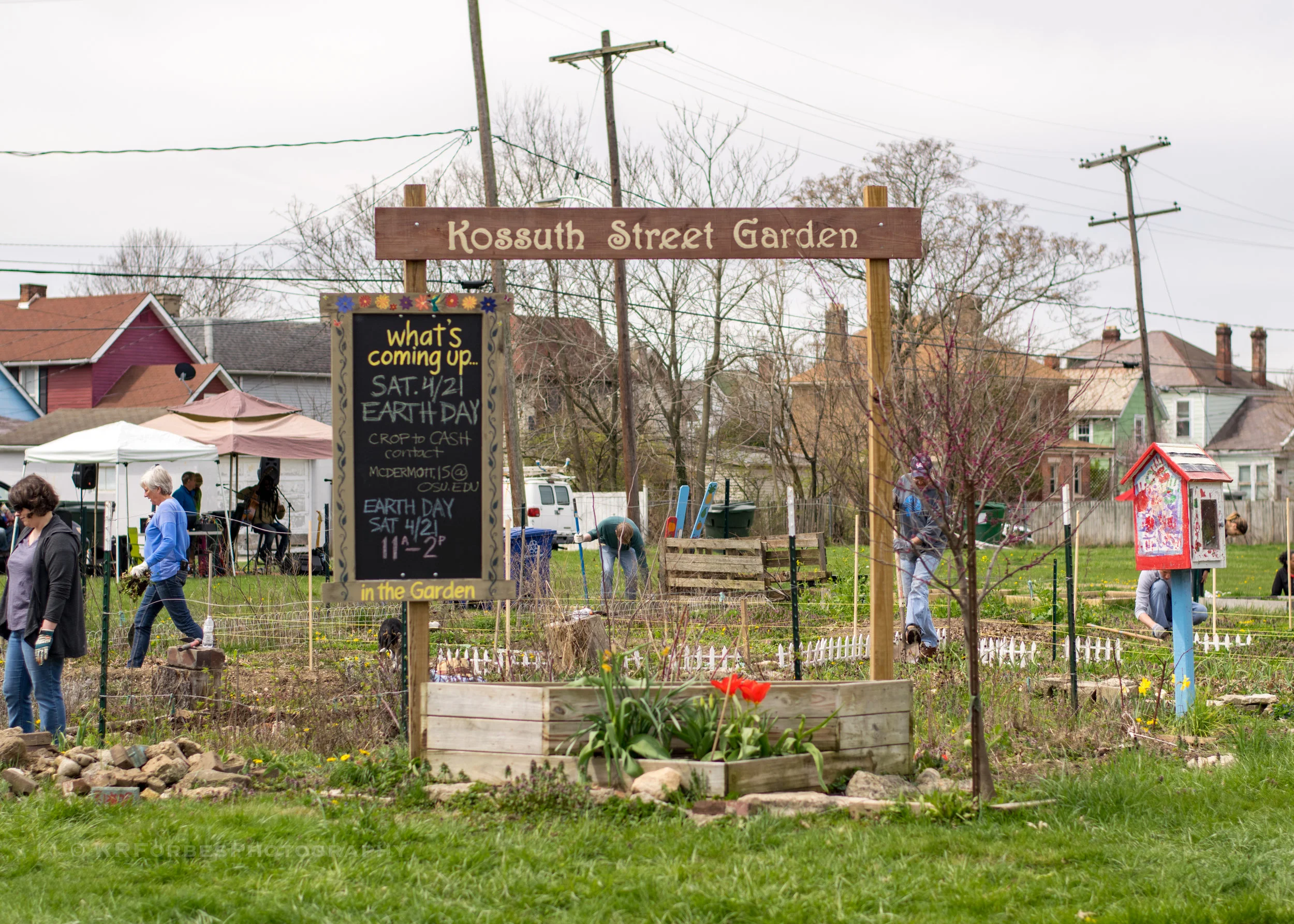 Southern Orchards — KRForbesPhotography