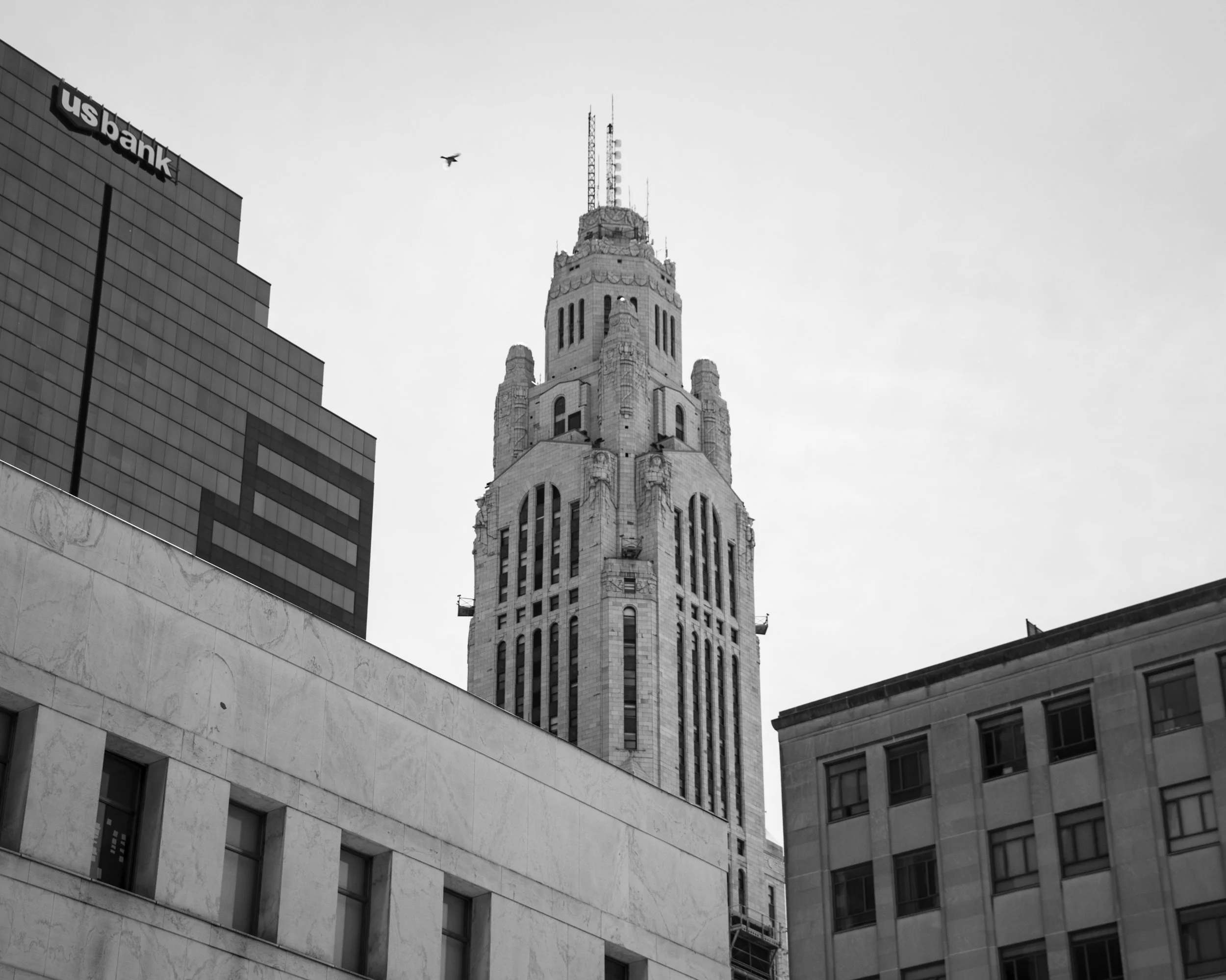 _DSC1103.jpg