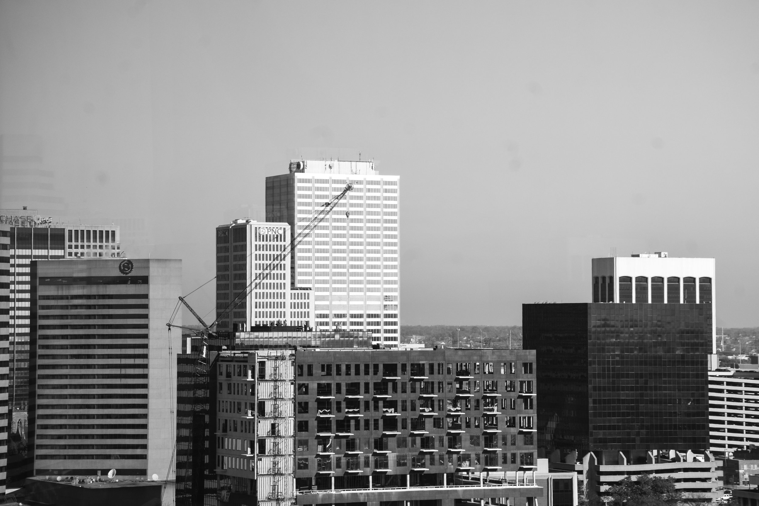 DSC_0719.jpg