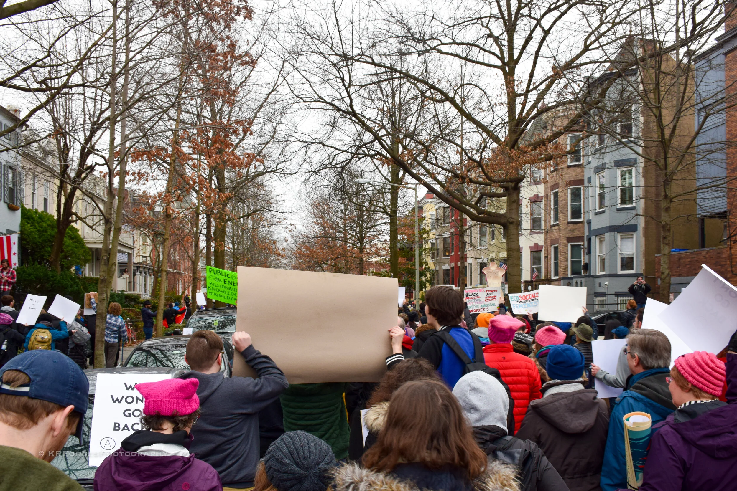 DSC_0118.jpg