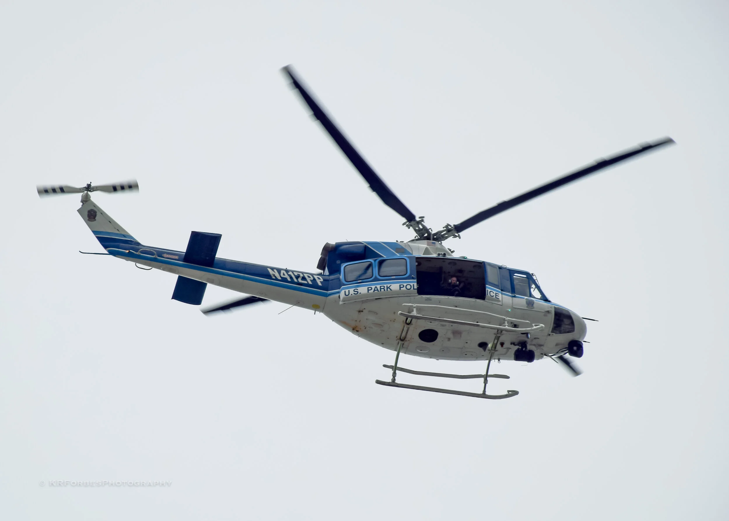 DSC_0233.jpg