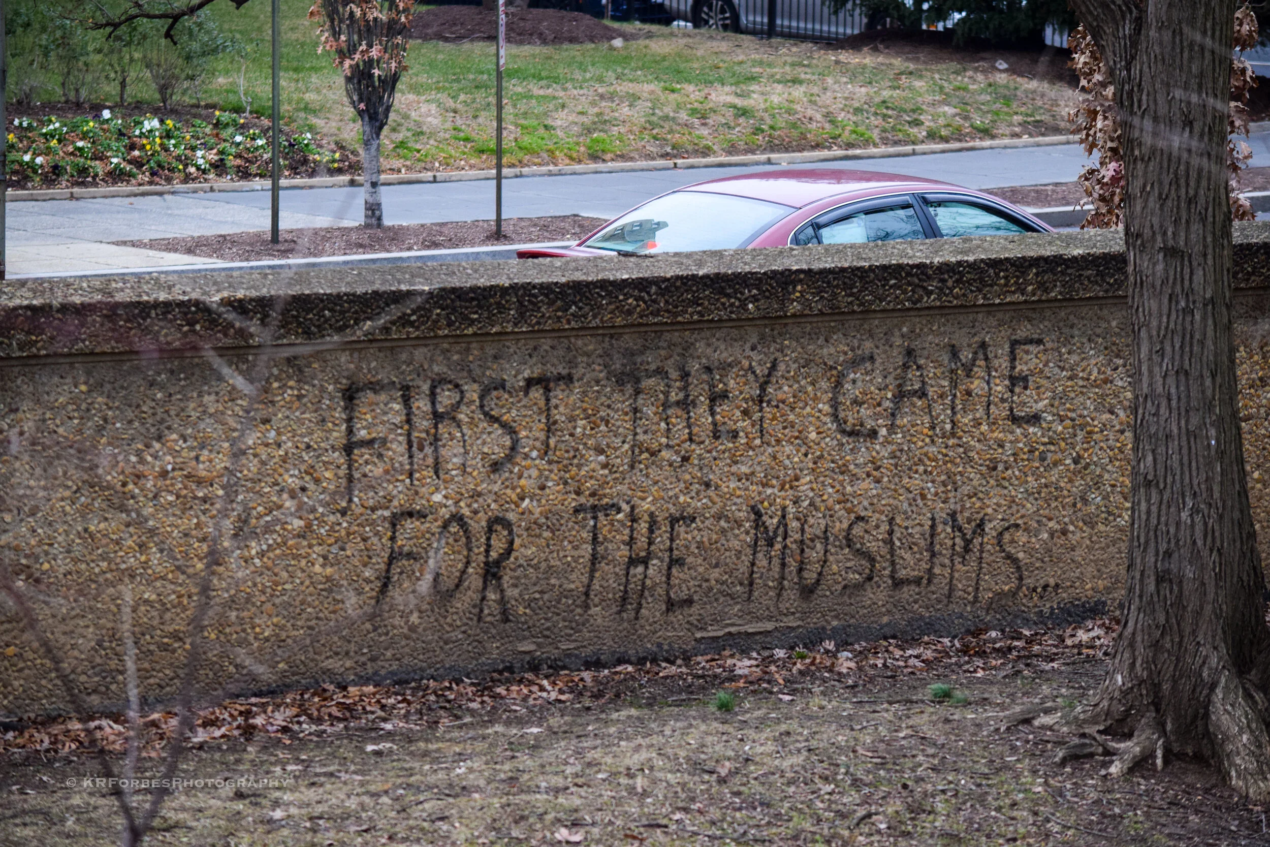 DSC_0274.jpg