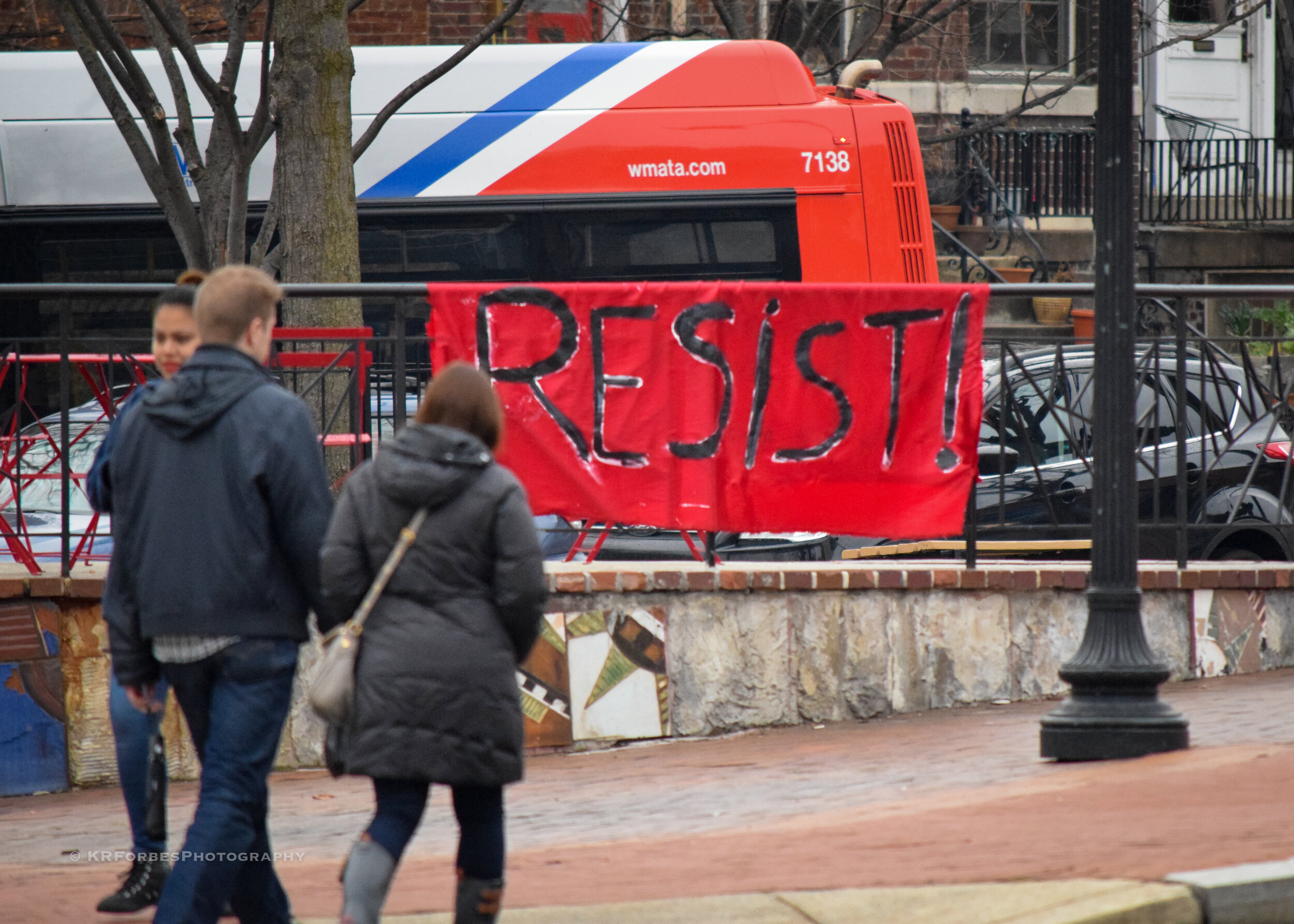 DSC_0299.jpg