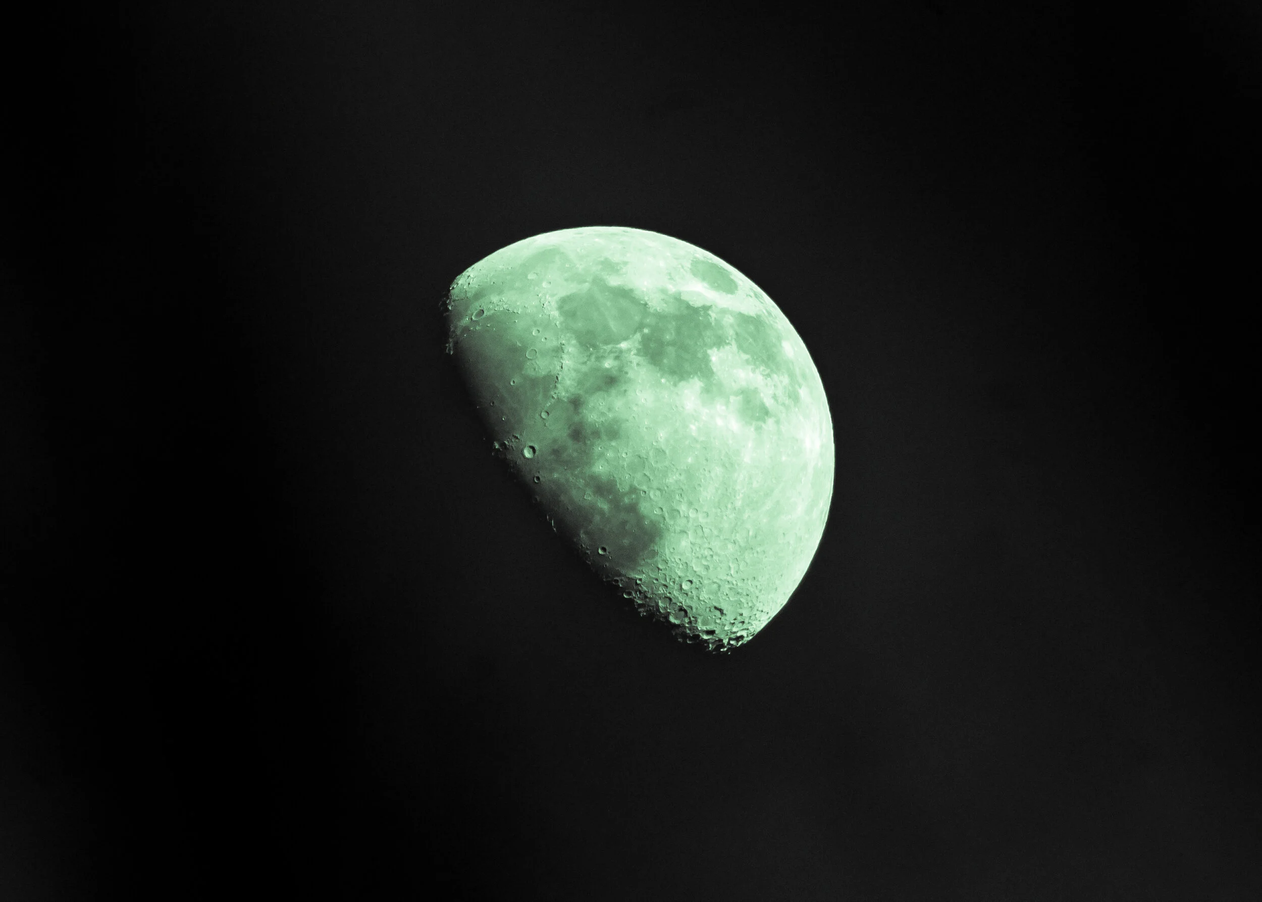 DSC_0852-8.jpg
