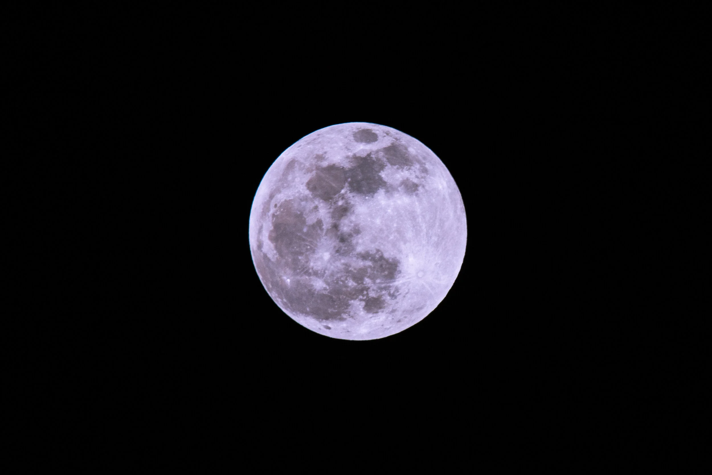 DSC_7485-3.jpg