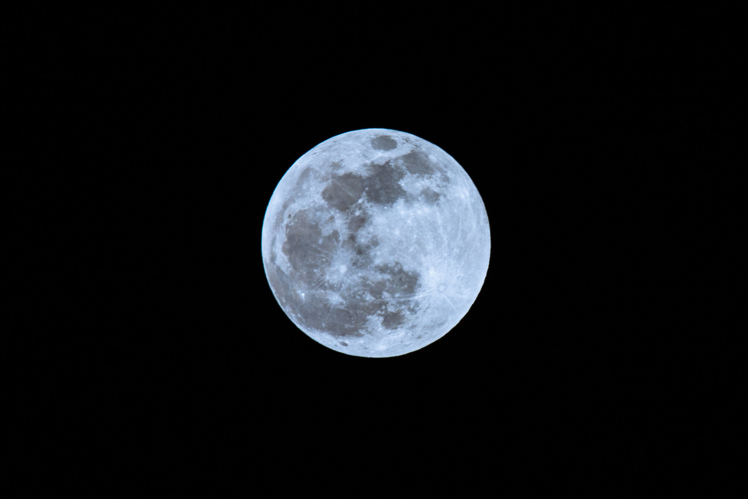 DSC_7485-4.jpg