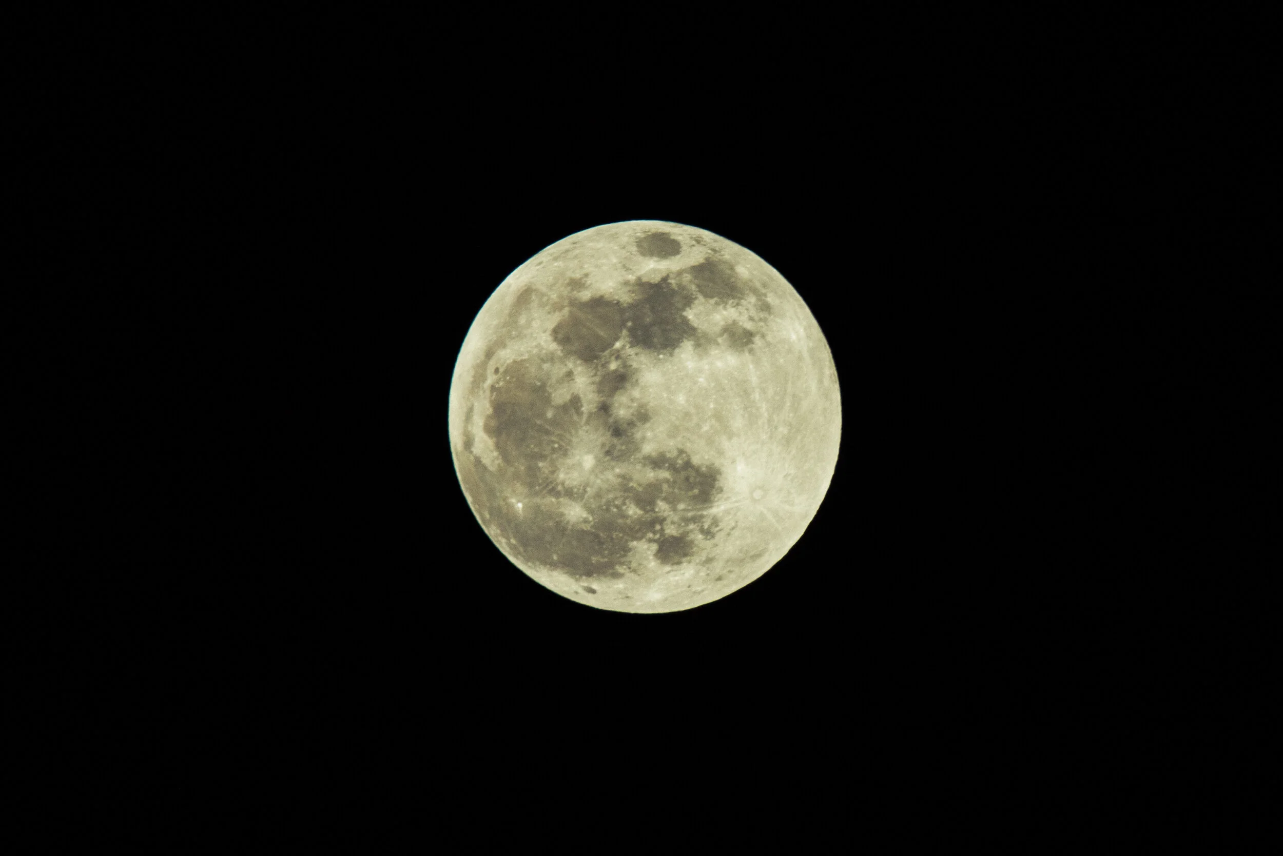 DSC_7485-8.jpg