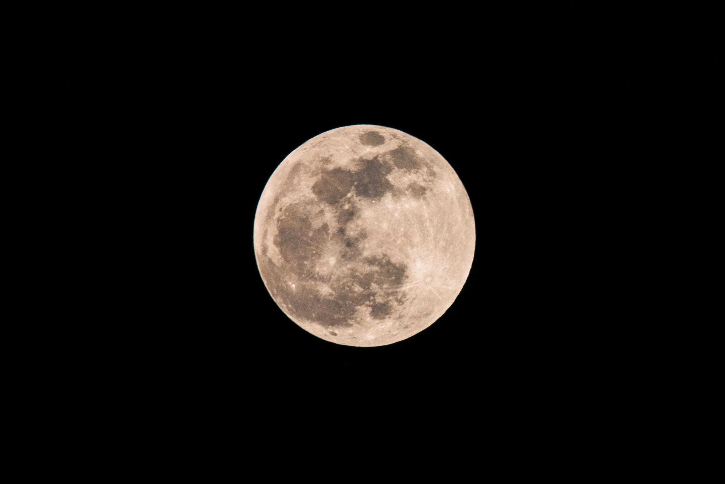 DSC_7485-9.jpg